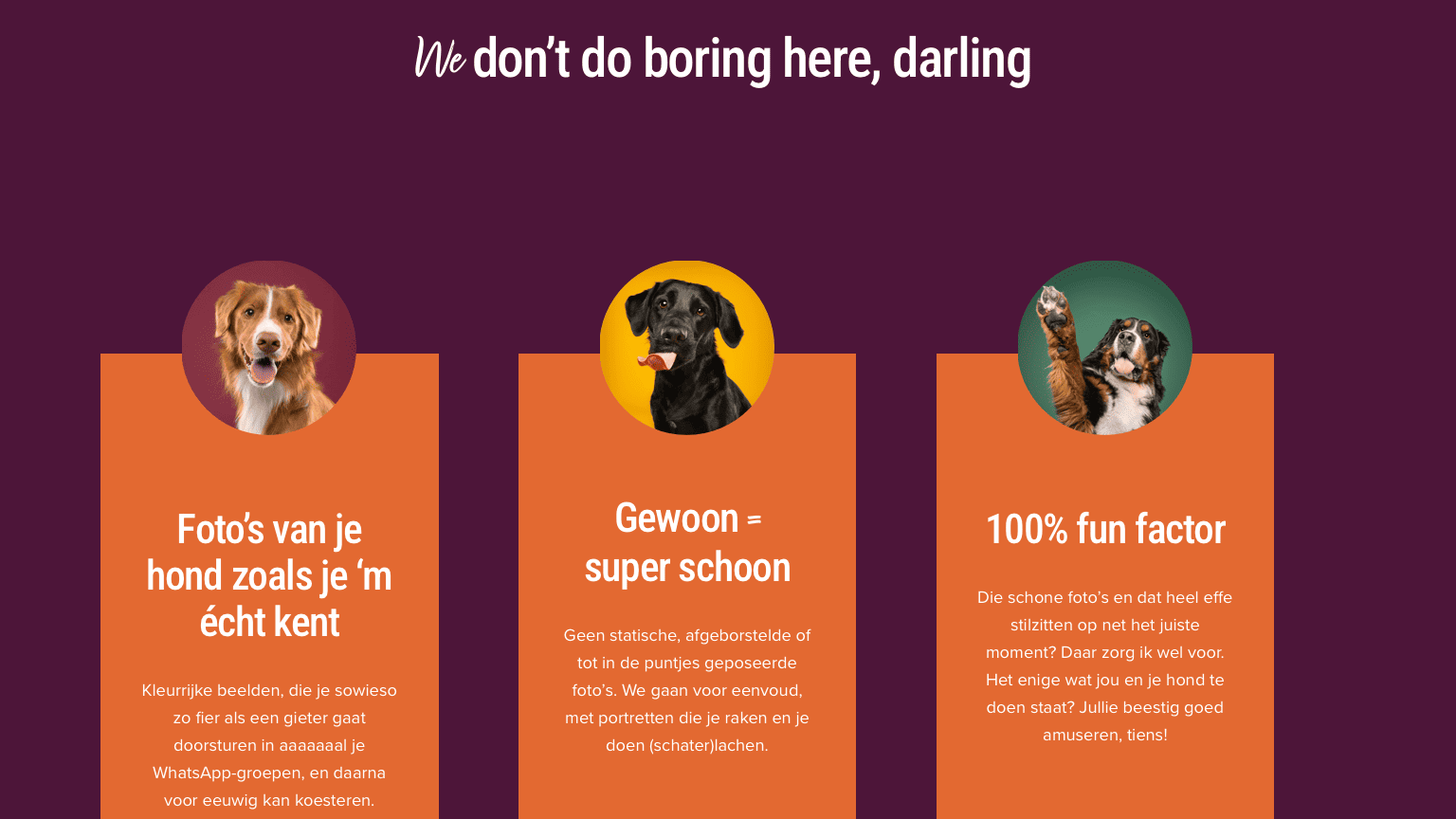 Scherm­afbeelding 2026-05-26 om 15.08.51 (2)-2.png