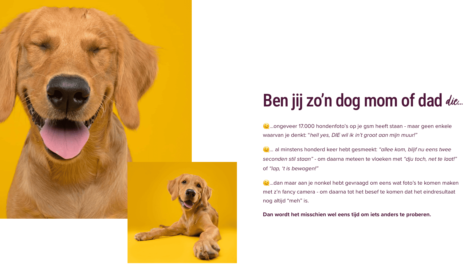 Scherm­afbeelding 2026-05-26 om 15.09.13 (2)-2.png
