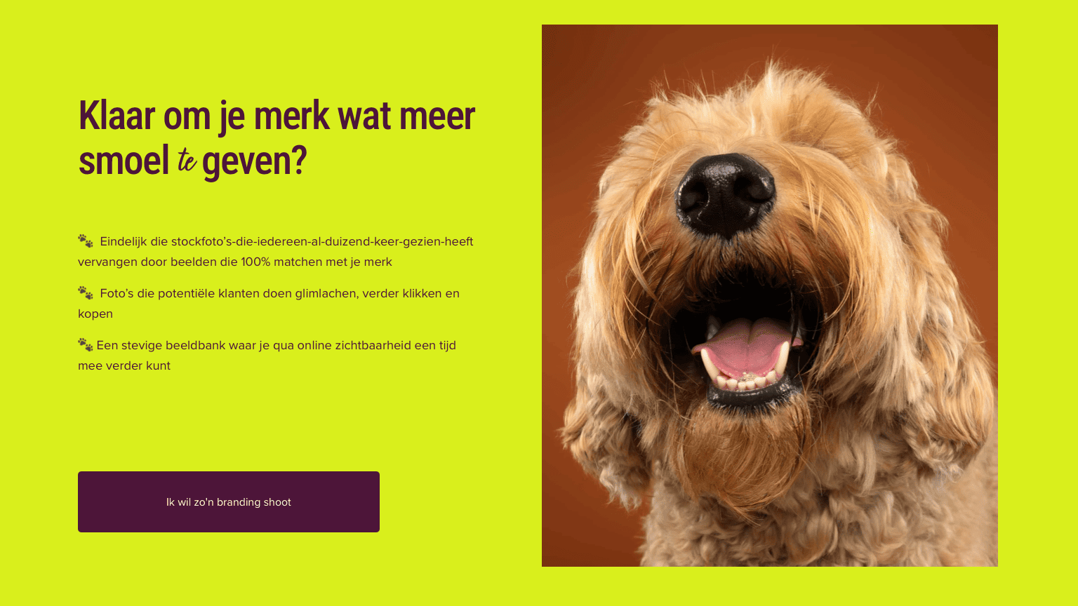 Scherm­afbeelding 2026-05-26 om 15.11.21 (2)-2.png