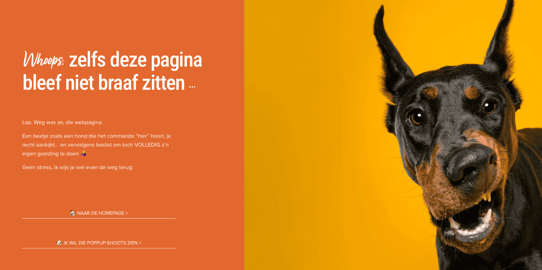 Scherm­afbeelding 2026-05-26 om 15.44.26 (2)-2.png