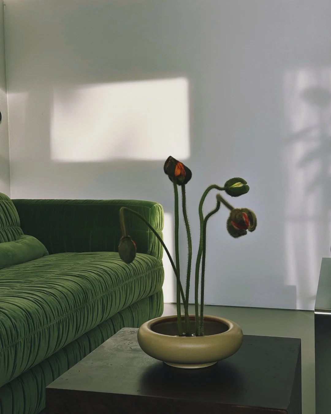 Fotostudio Miete Schweiz I Photostudio Rent Switzerland