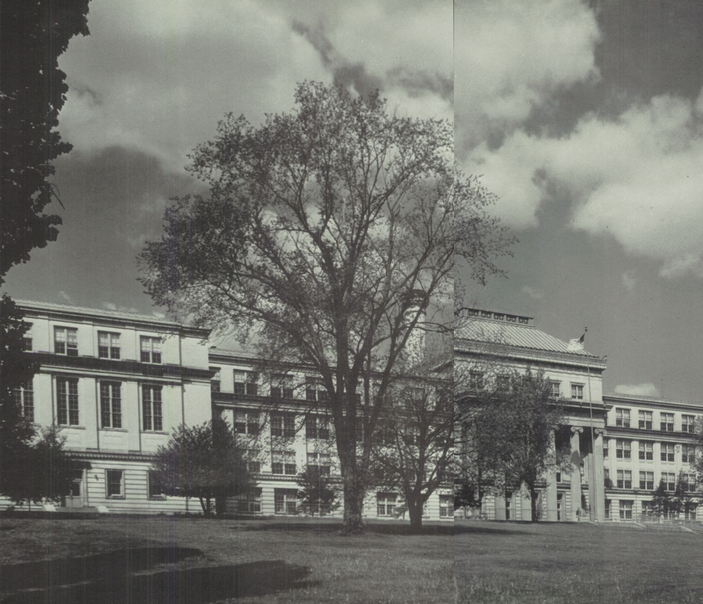 Screenshot 2024-06-13 at 8.44.26 PM.png