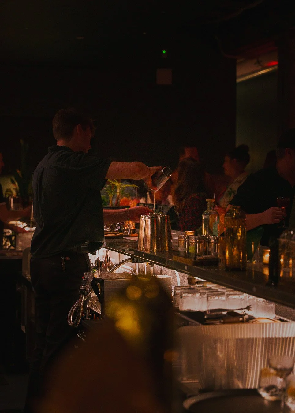 Perennial - Flora Room 2026 April-21.jpg