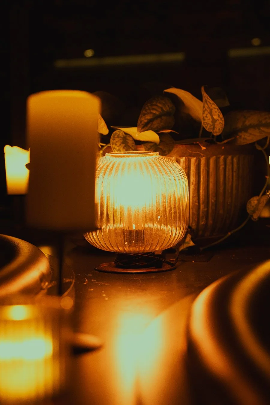 Perennial - Flora Room 2026 April-10.jpg