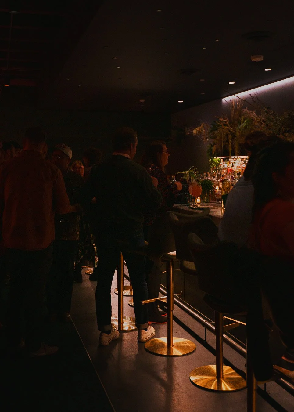 Perennial - Flora Room 2026 April-24.jpg