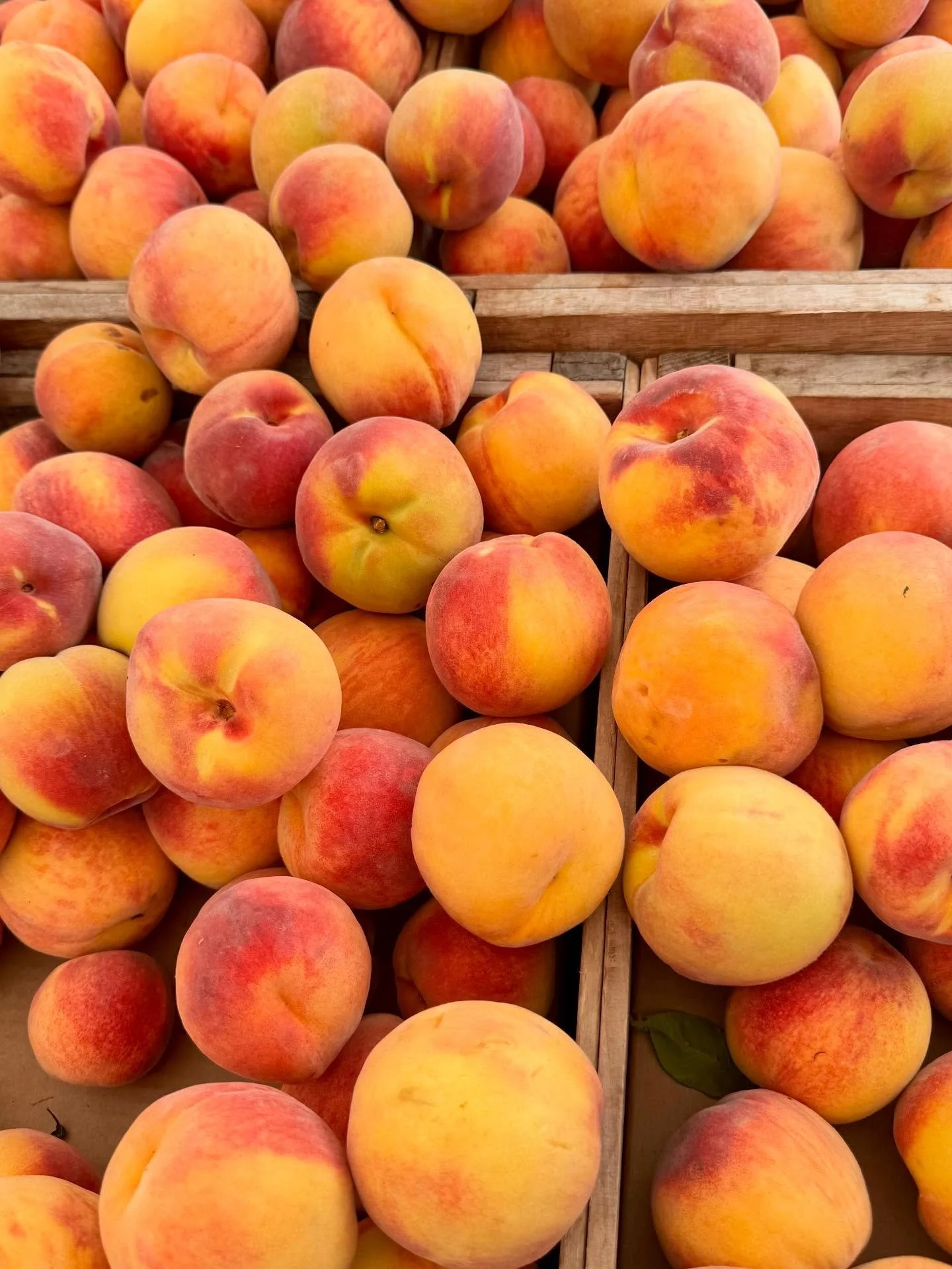 Farmers market finds today &amp; sandwiches in Central Park&hellip; pinch me!