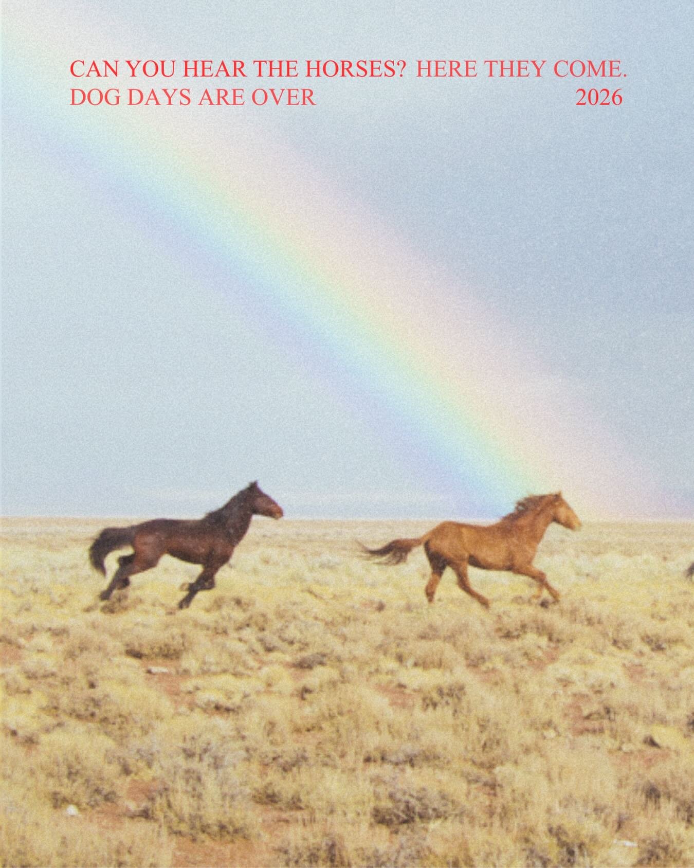 Backstory! Every morning I play Dog Days Are Over by Florence + the Machine because it genuinely gets me excited for the day. It has the BEST energy and sets everything in motion. I was telling my mom about it this morning, so we blasted it through t