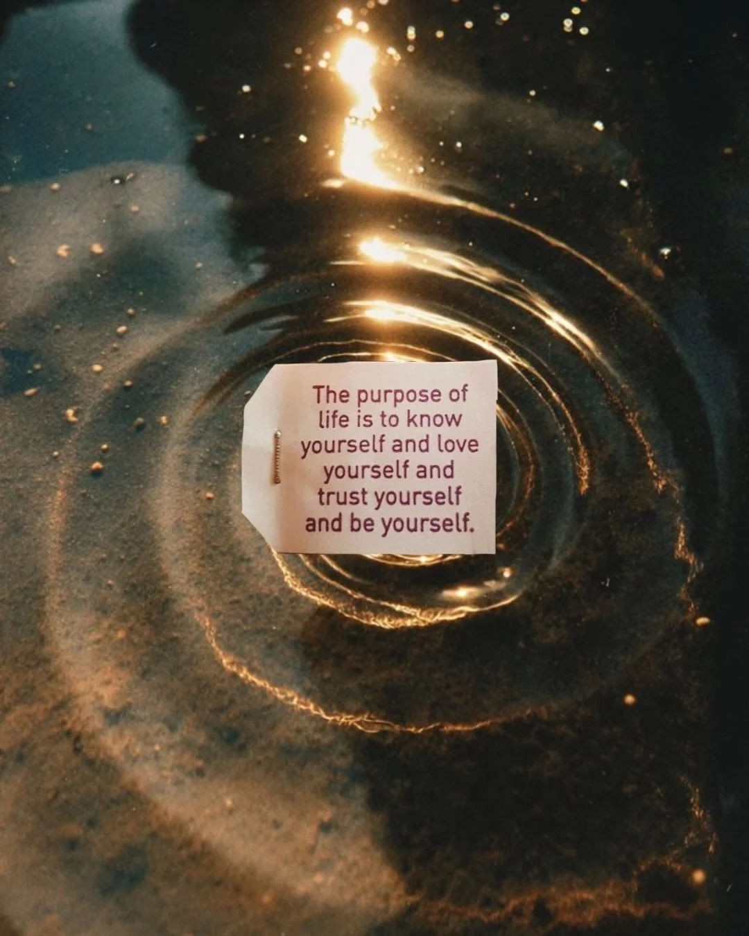 Sometimes the best life advice comes from a tea bag 

#teaquotes