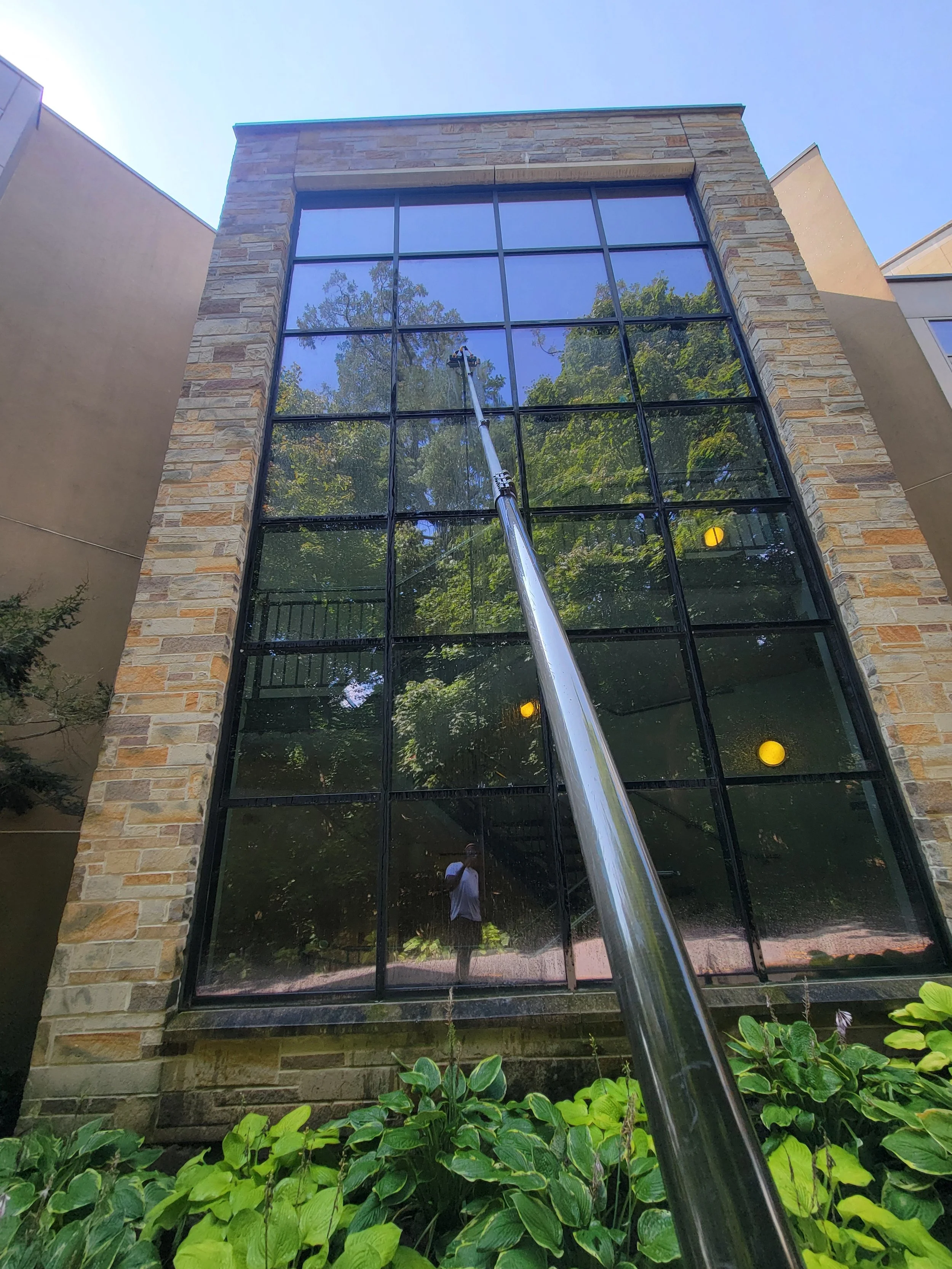 Low-angle view of a modern building with large glass windows reflecting trees and sky, surrounded by green plants at the base.