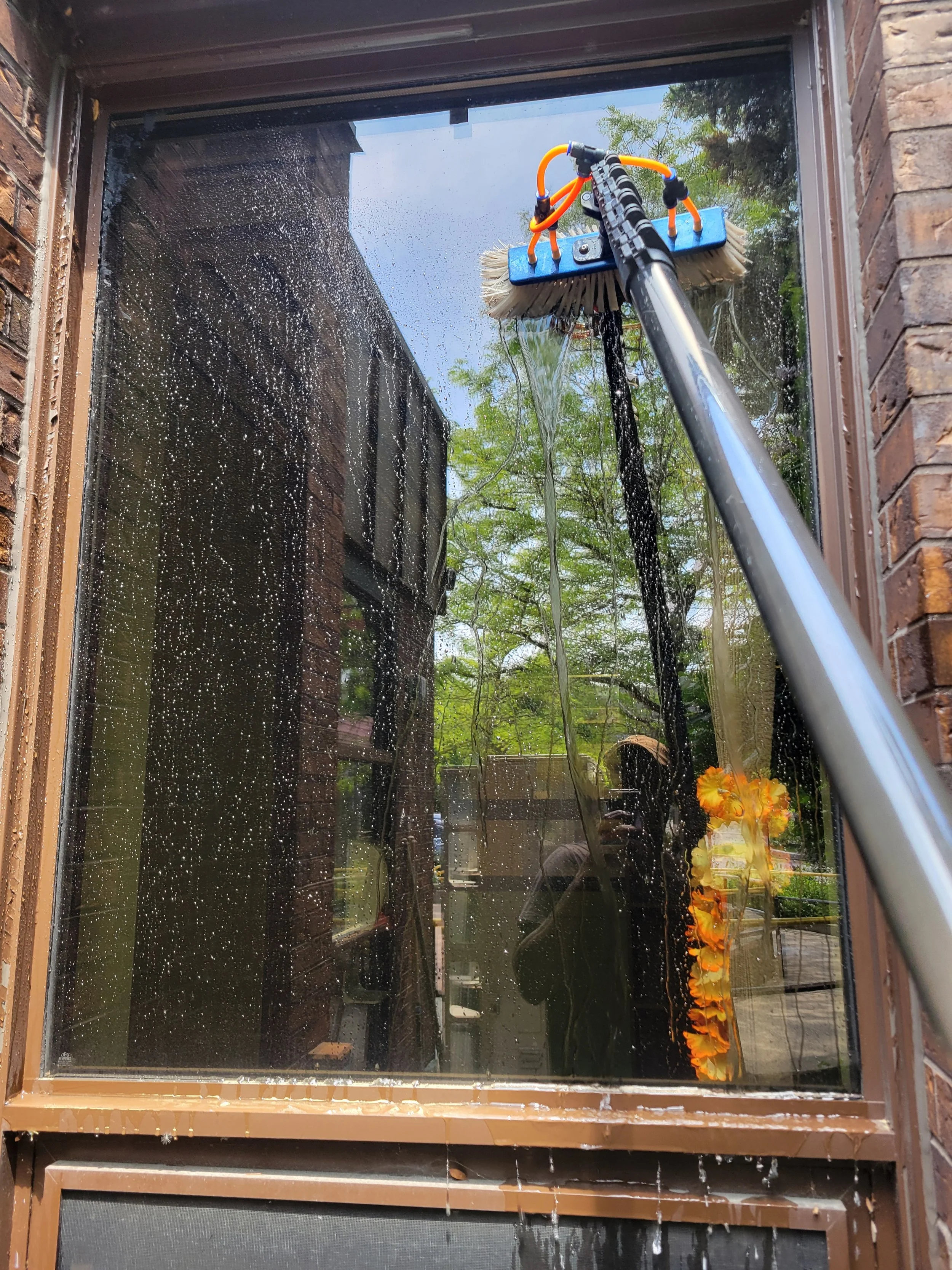 A window cleaning tool with a brush and orange hose, attached to an extension pole, cleaning the exterior glass of a window. The window reflects trees and a person taking the photo.