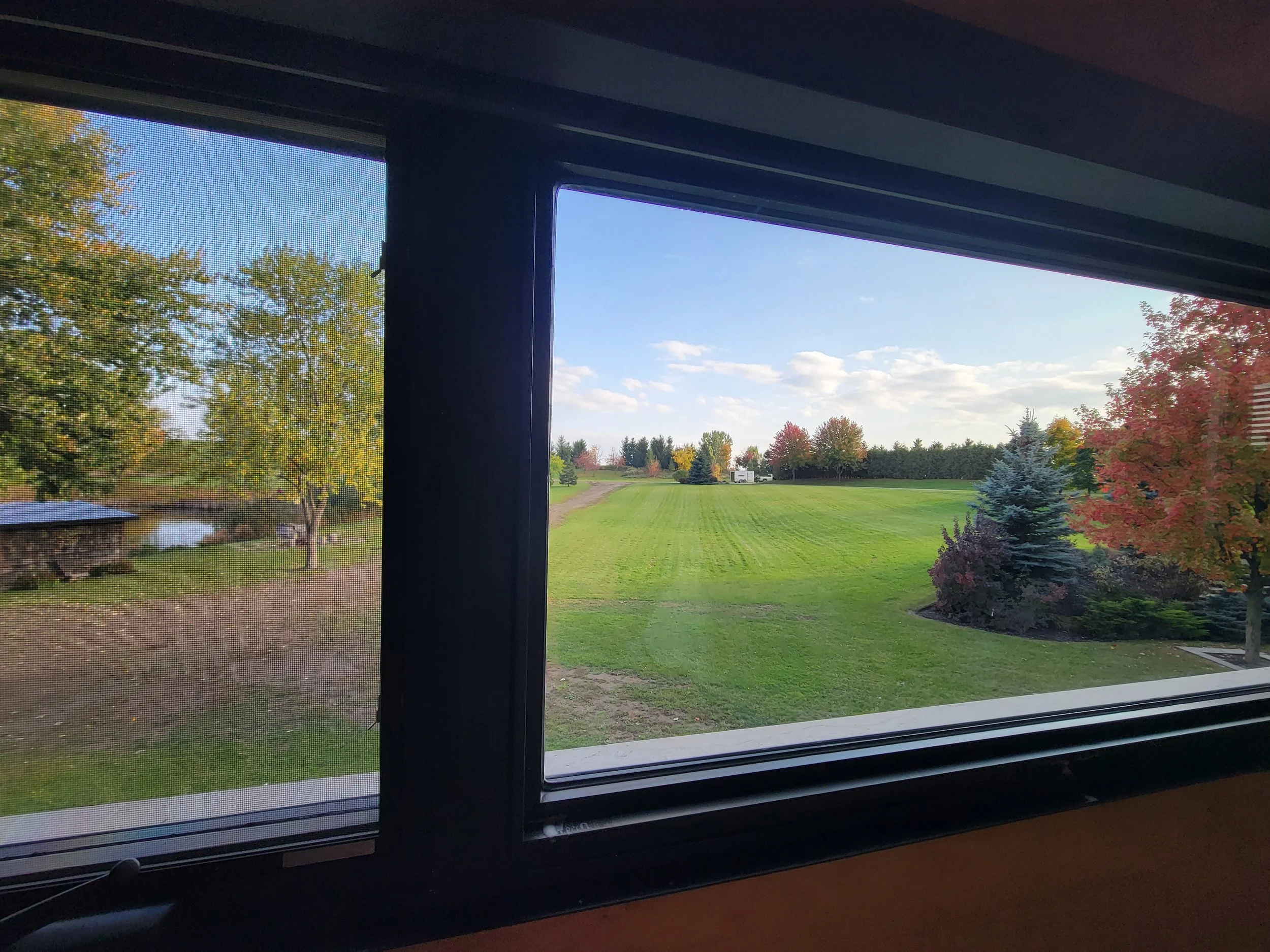 View of a green lawn with scattered trees outside a window with a screen, showing a sunny daytime landscape with a partly cloudy sky.