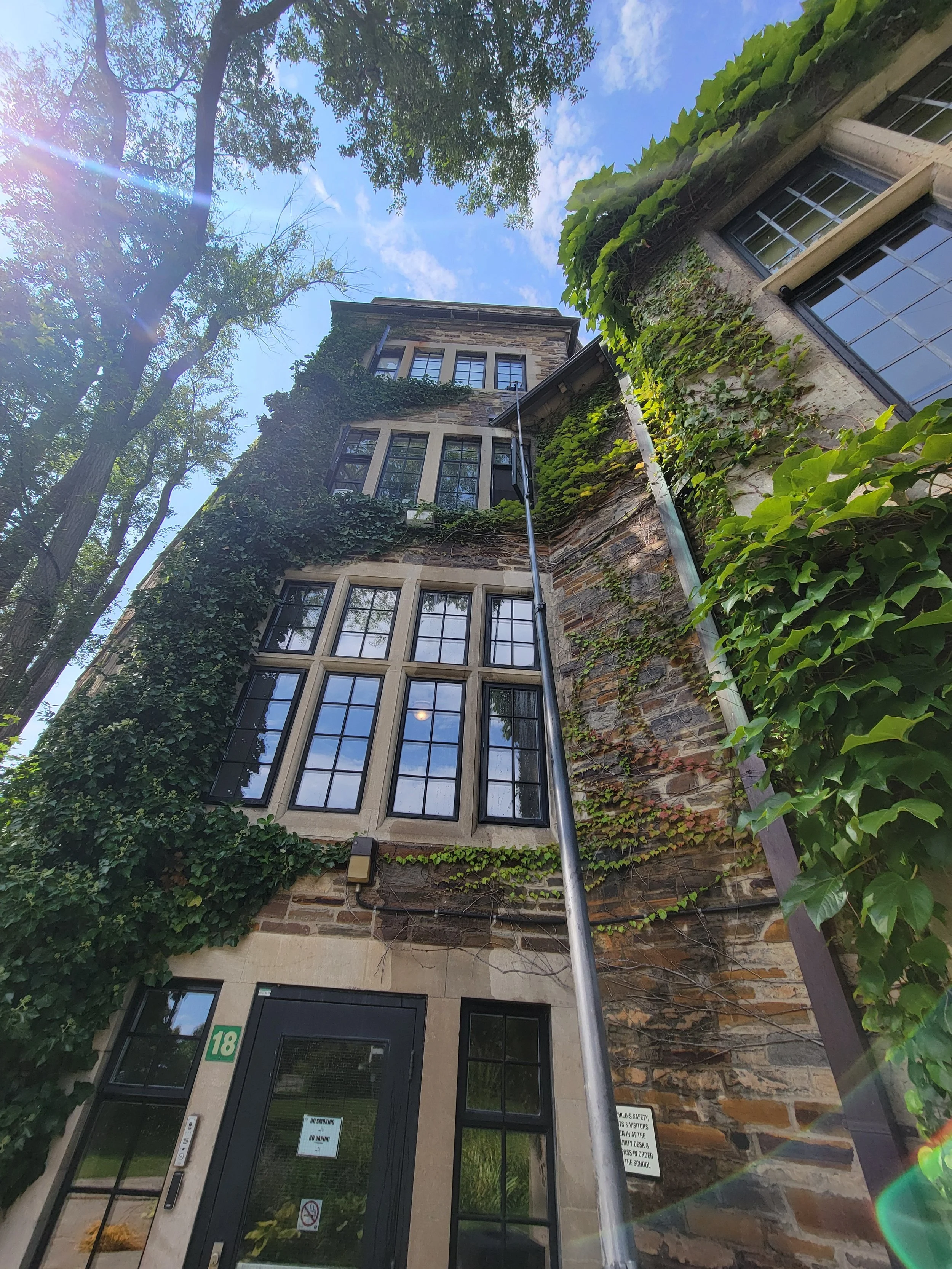 Low-angle view of an old brick building with large windows, surrounded by green ivy and trees, under a blue sky with sunlight.