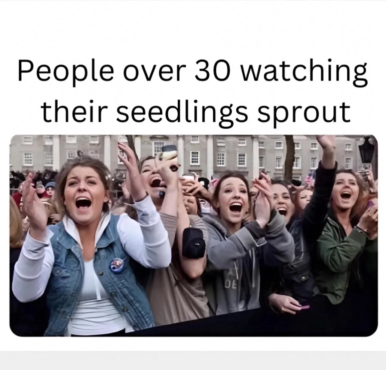 SOW 🌱 Community