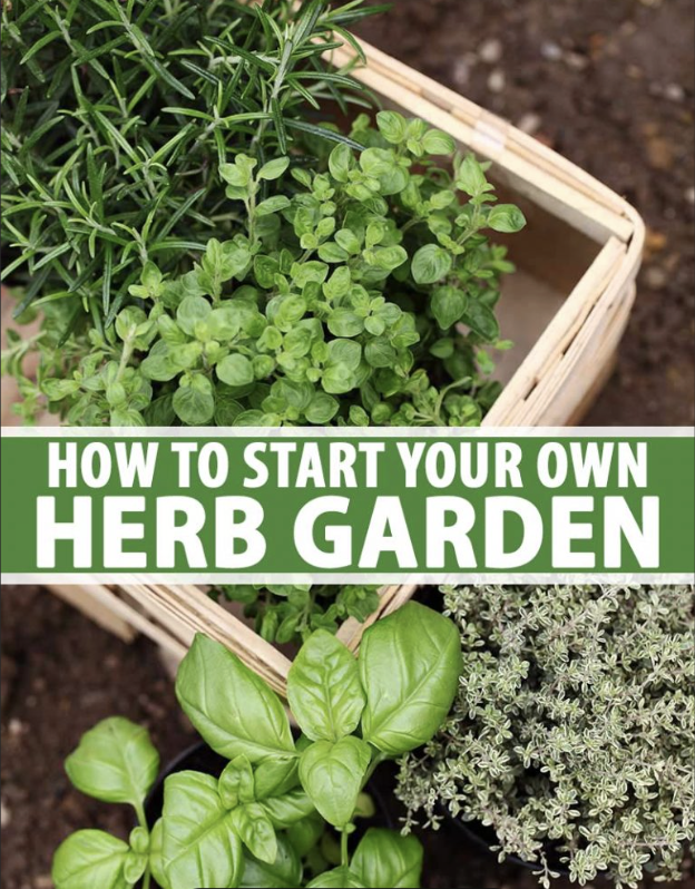 Herb Garden Workshop