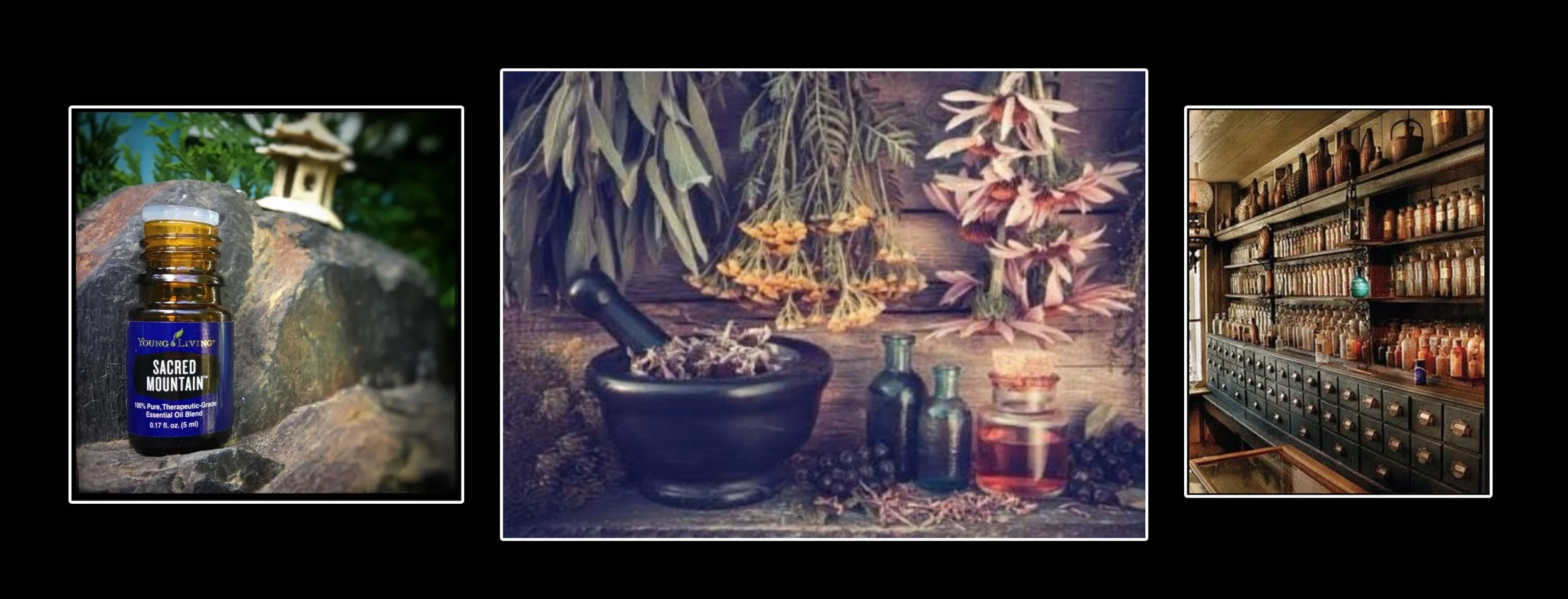 A collage of three images featuring herbal and essential oils: on the left, a bottle of Young Living Sacred Mountain essential oil on a rock with a bamboo house in the background; in the center, a wooden table with dried herbs, small bottles, a mortar and pestle, and flowers; on the right, a wooden shelf filled with numerous bottles and jars of herbal remedies and essential oils.