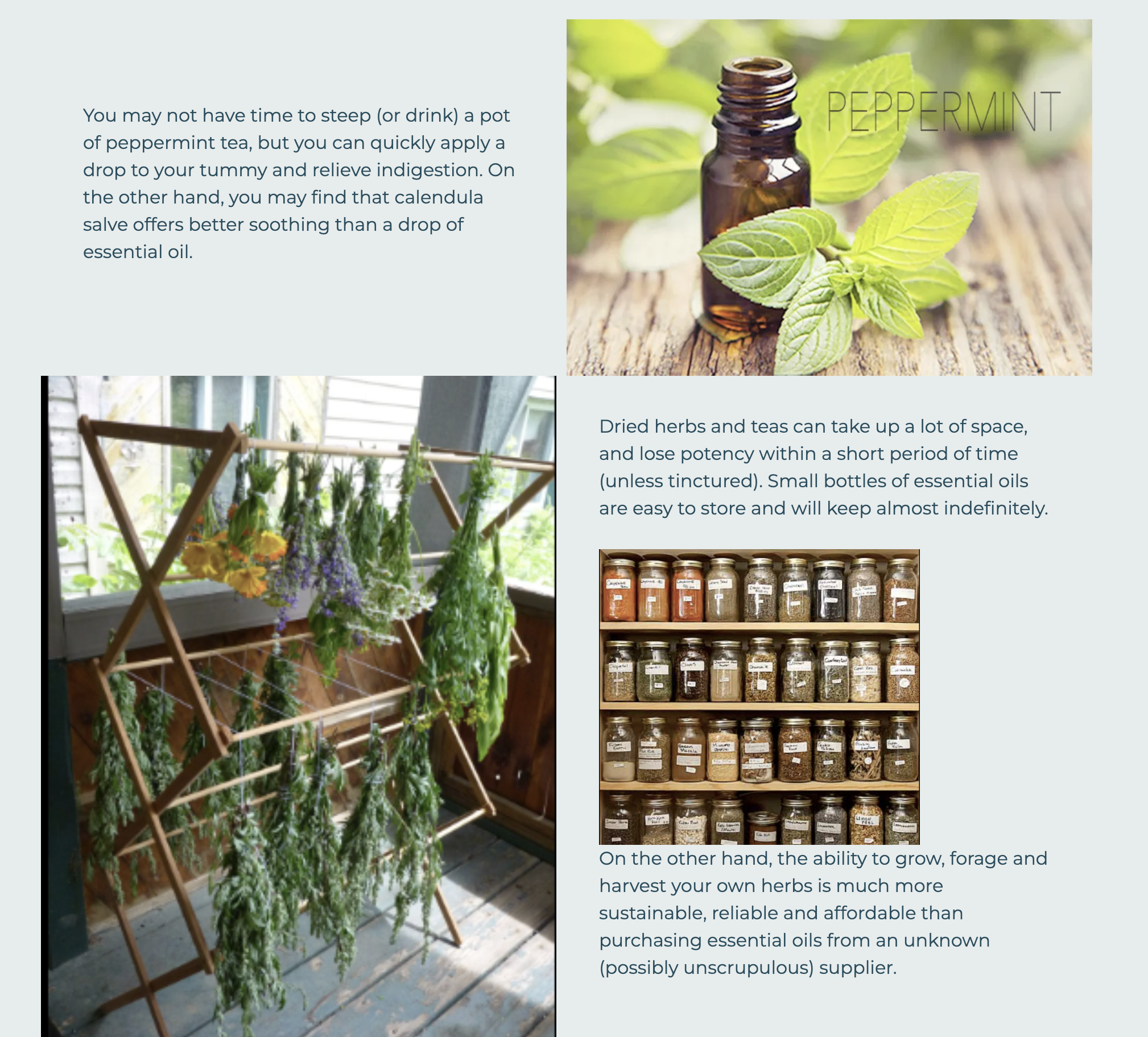 A collection of dried herbs hanging on a wooden rack with a window in the background.