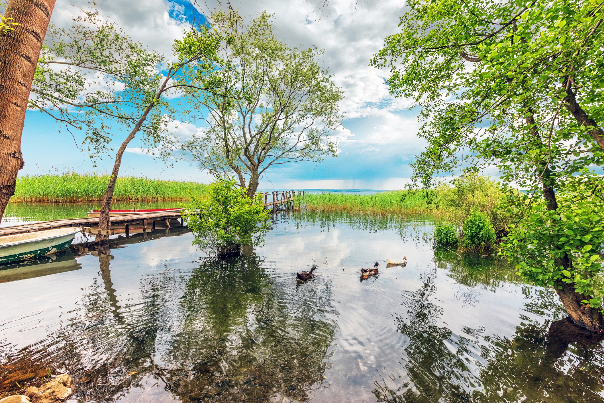 iStock-1386249723.jpg