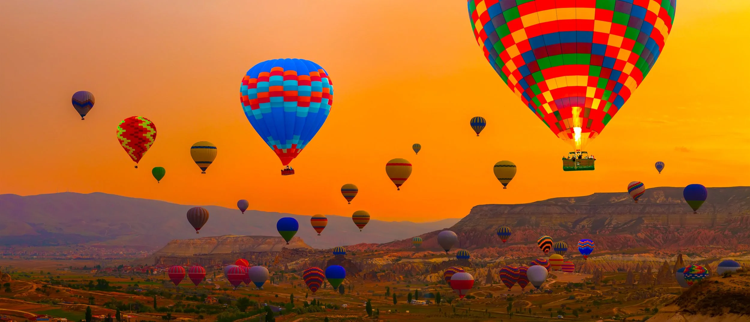 iStock-913482438.jpg