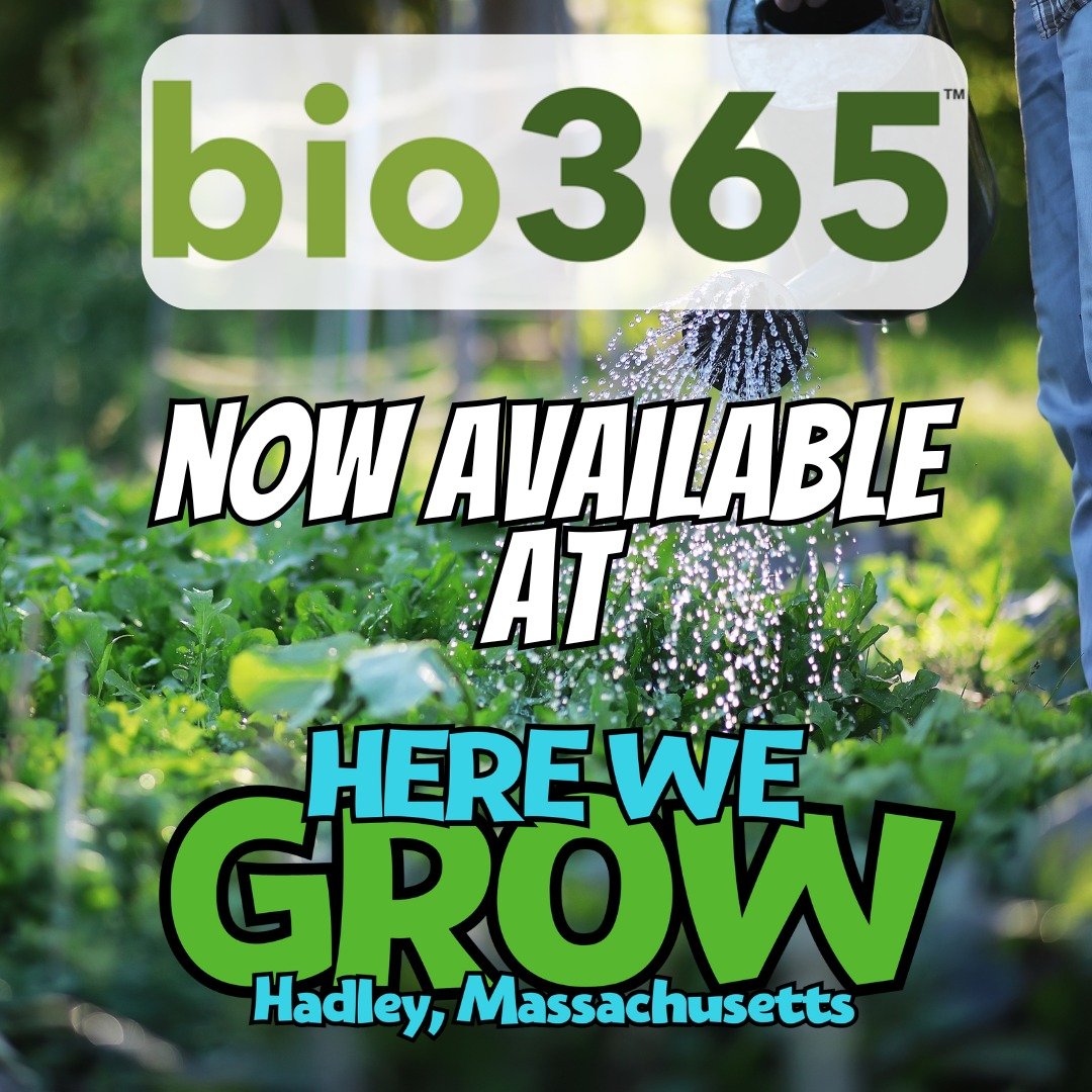 bio365 soils are now available at Here We Grow. Stop in and stock up today!