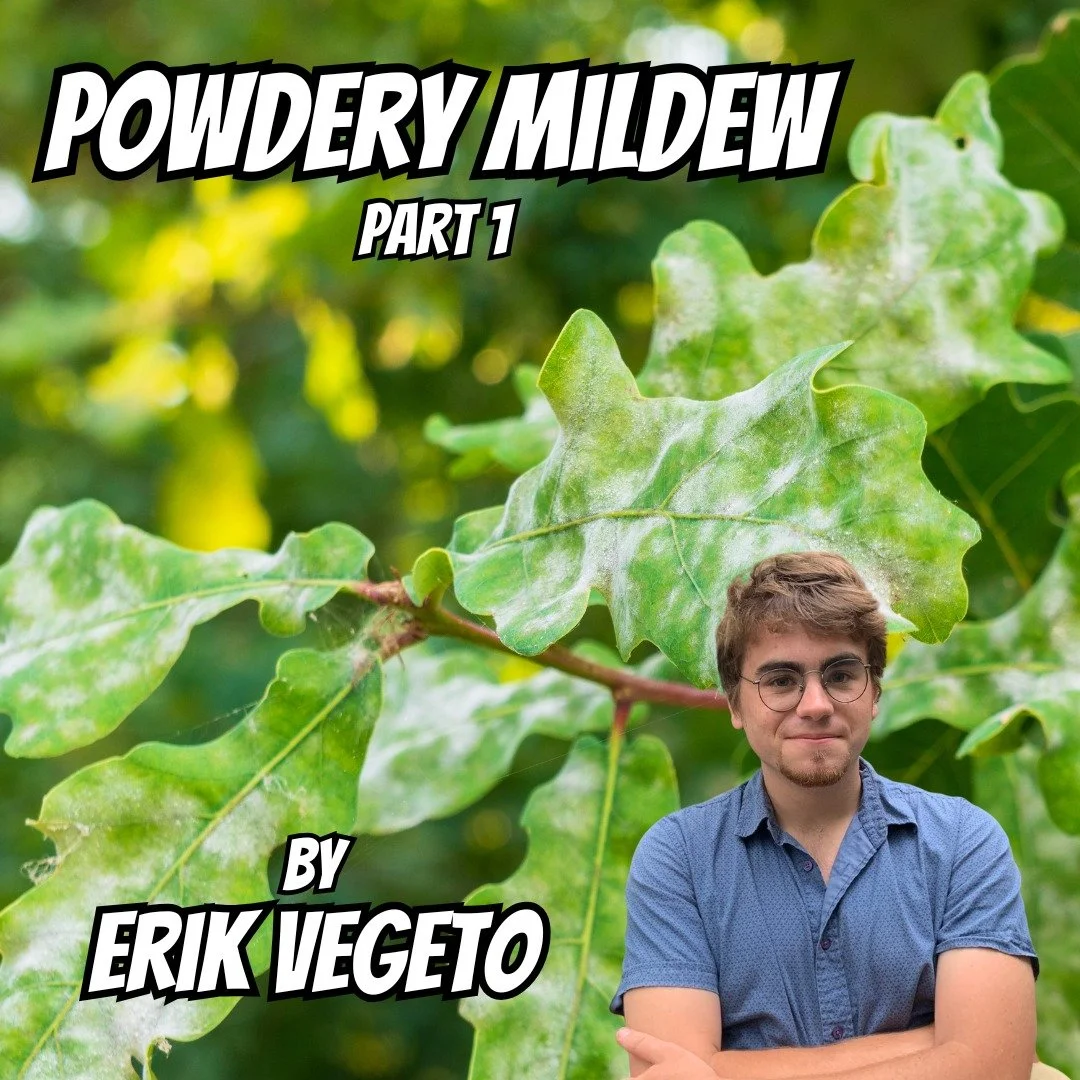 We have a new blog post up authored by Erik Vegeto! This time Erik dives into the science behind the dreaded Powdery Mildew! Head over to our site to read it today!