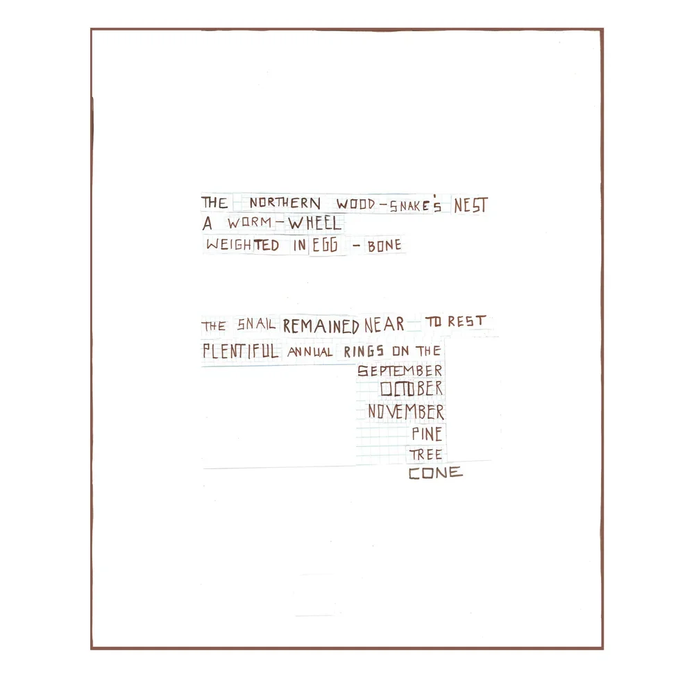 North+Poem+II+copy.webp