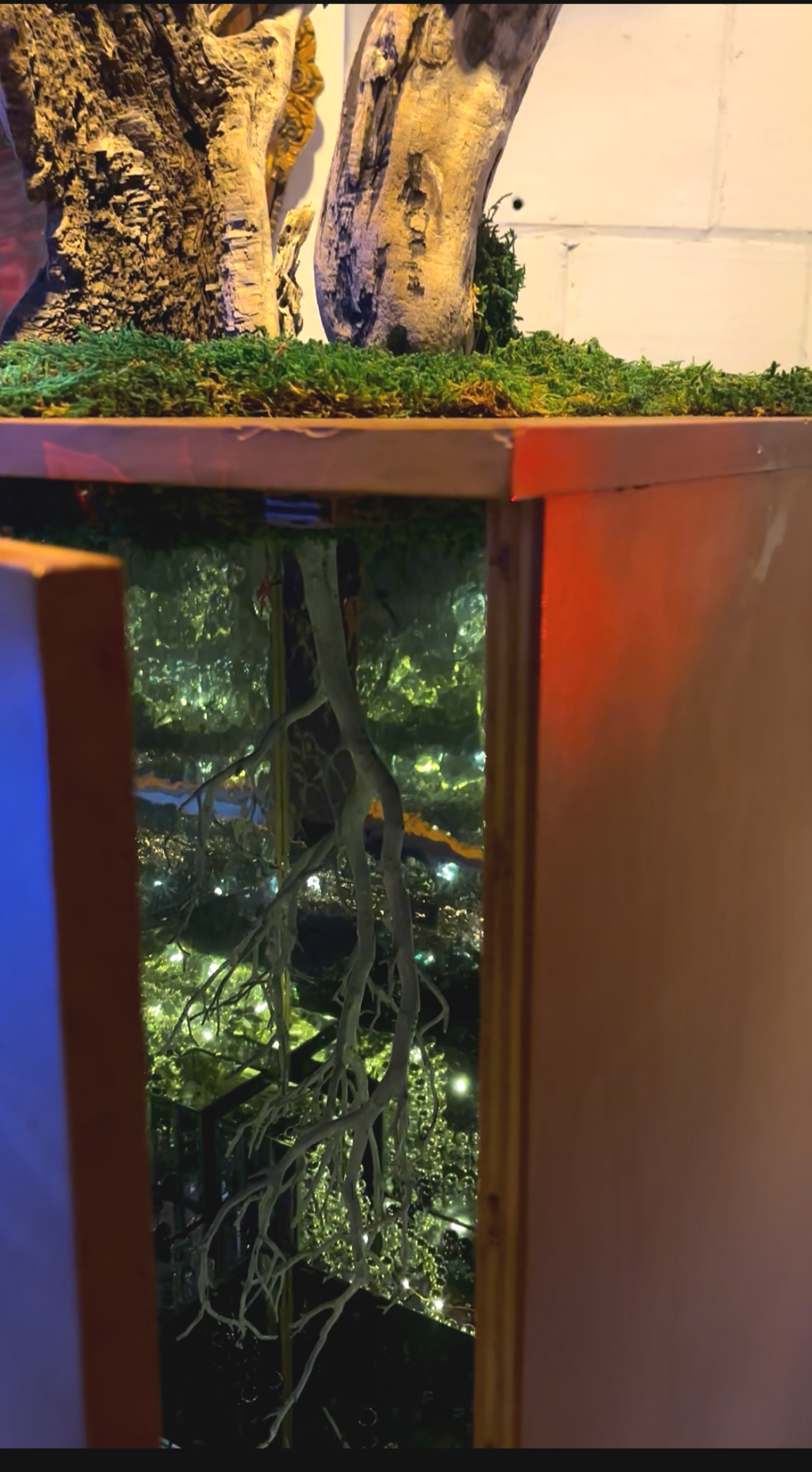 THE MAGIC WITHIN_detail 2, 2025 