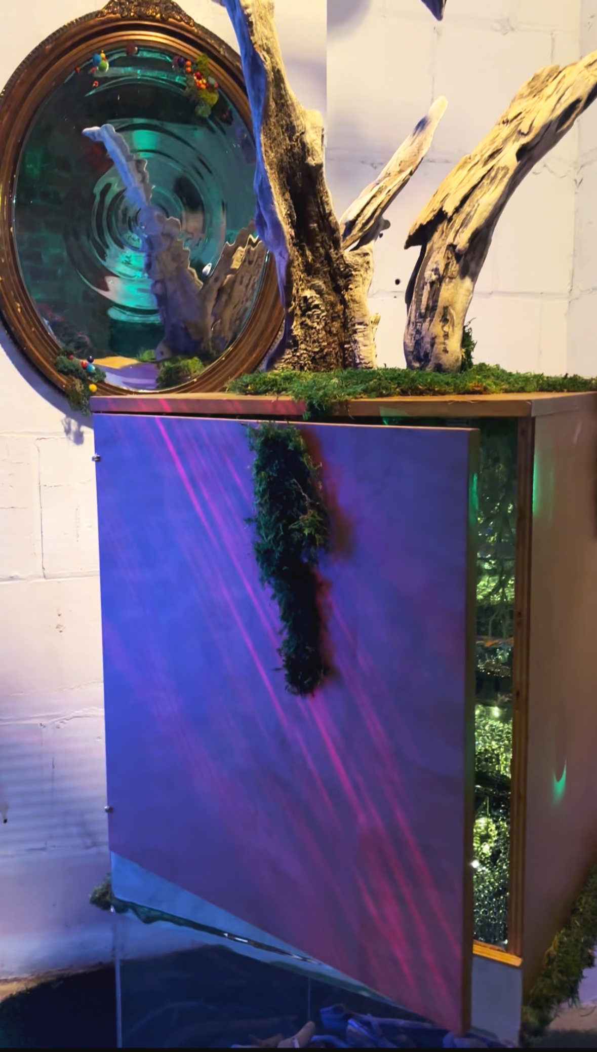 THE MAGIC WITHIN_DETAIL 1, 2025 