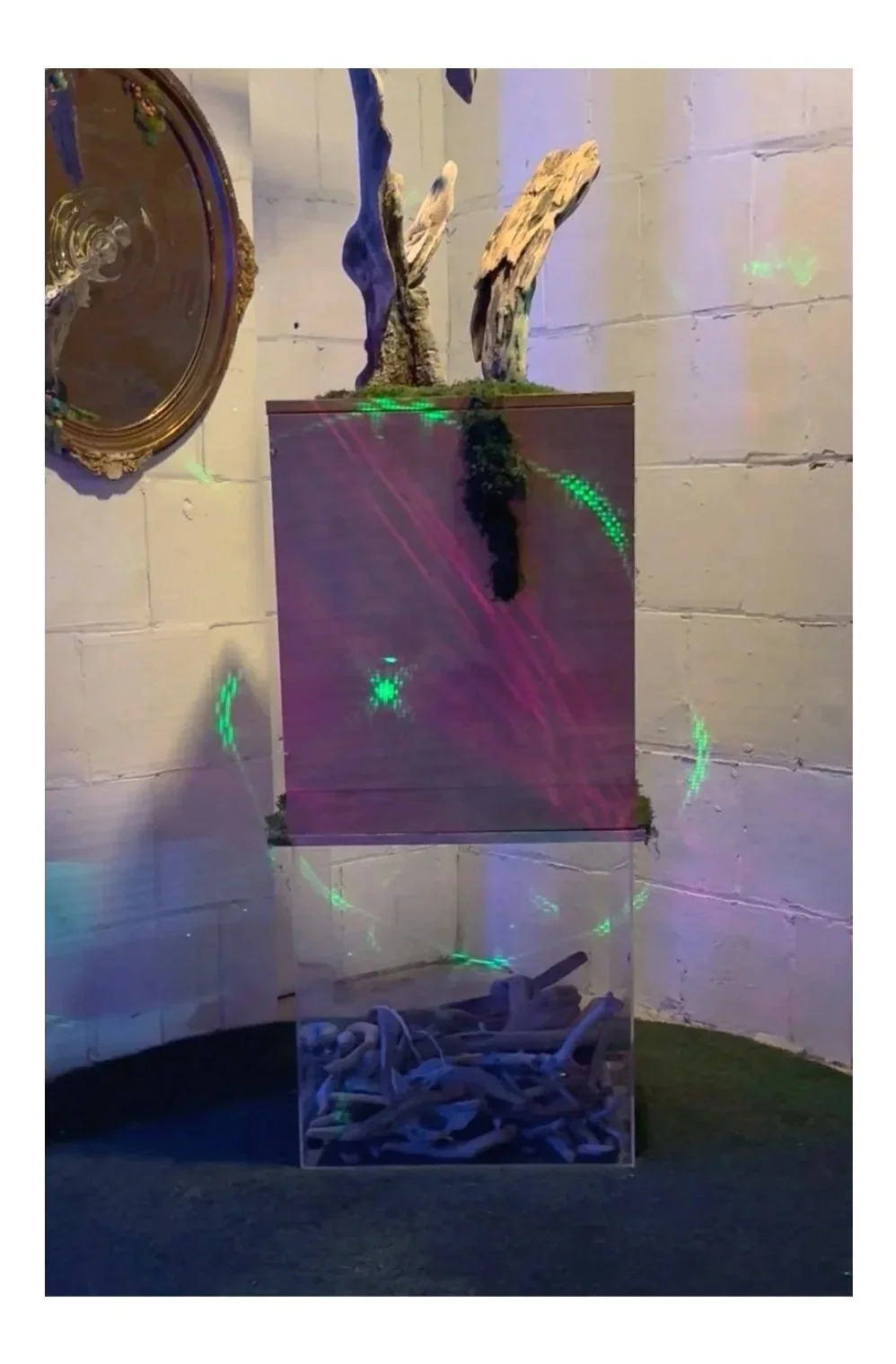 THE MAGIC WITHIN, 2025
Driftwood, Moss, Plexiglass, Wood, Lights, Mirrors
