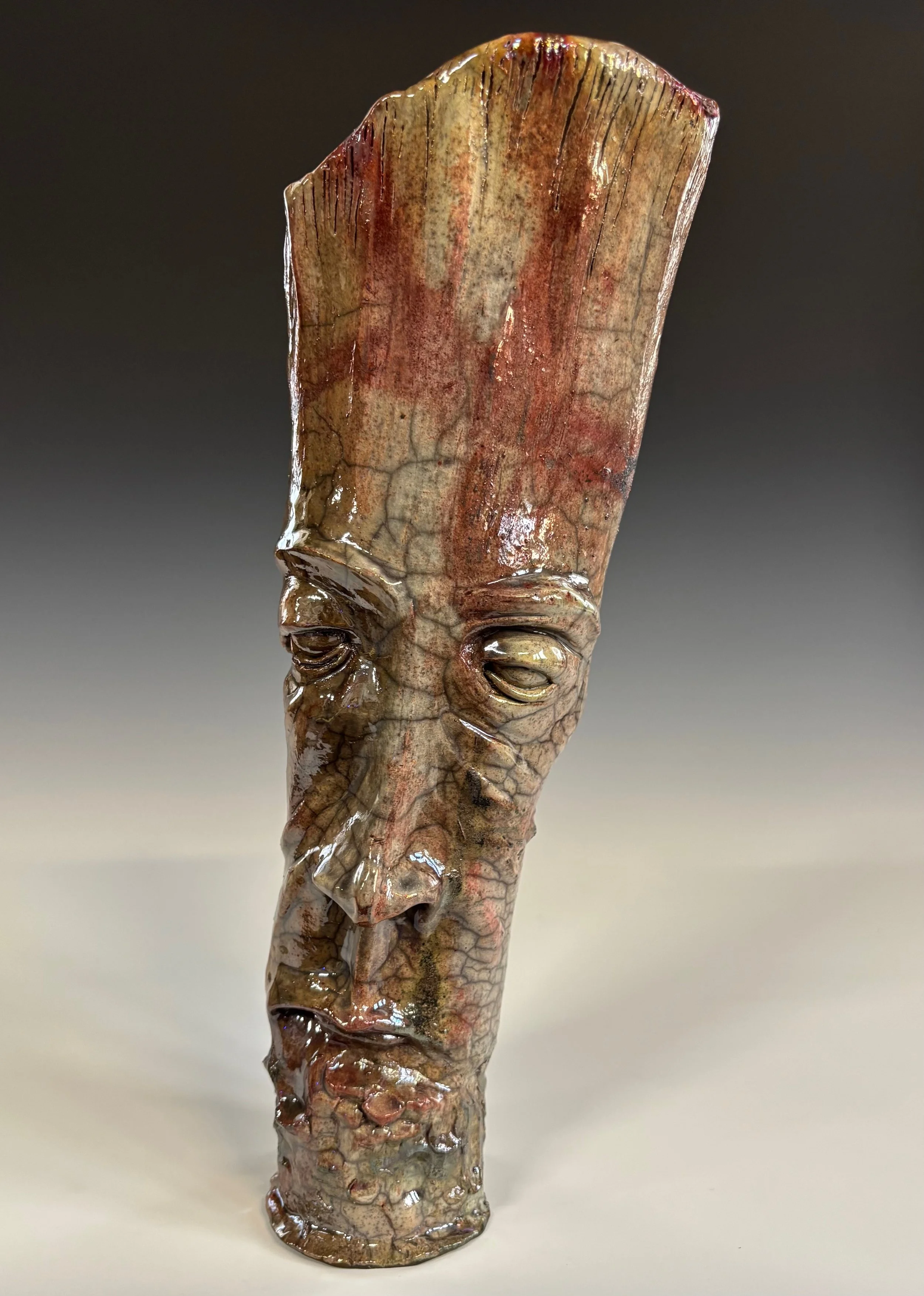 WHERE DID THE FOREST GO? 2025 
Raku Clay 