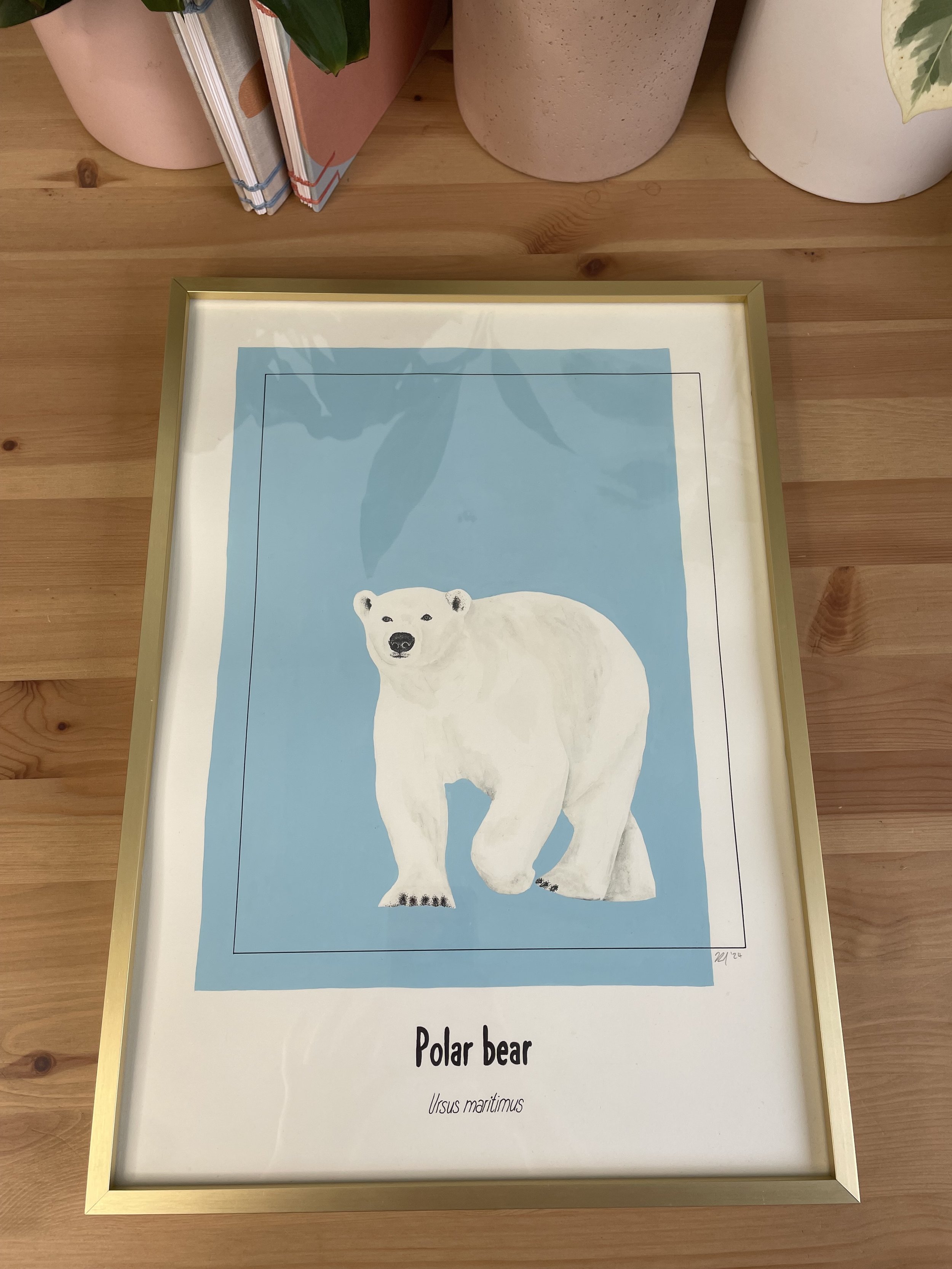 Faunaly studio:art print:wildlife artwork:polar bear:conservation art:jess rowland_6.JPG