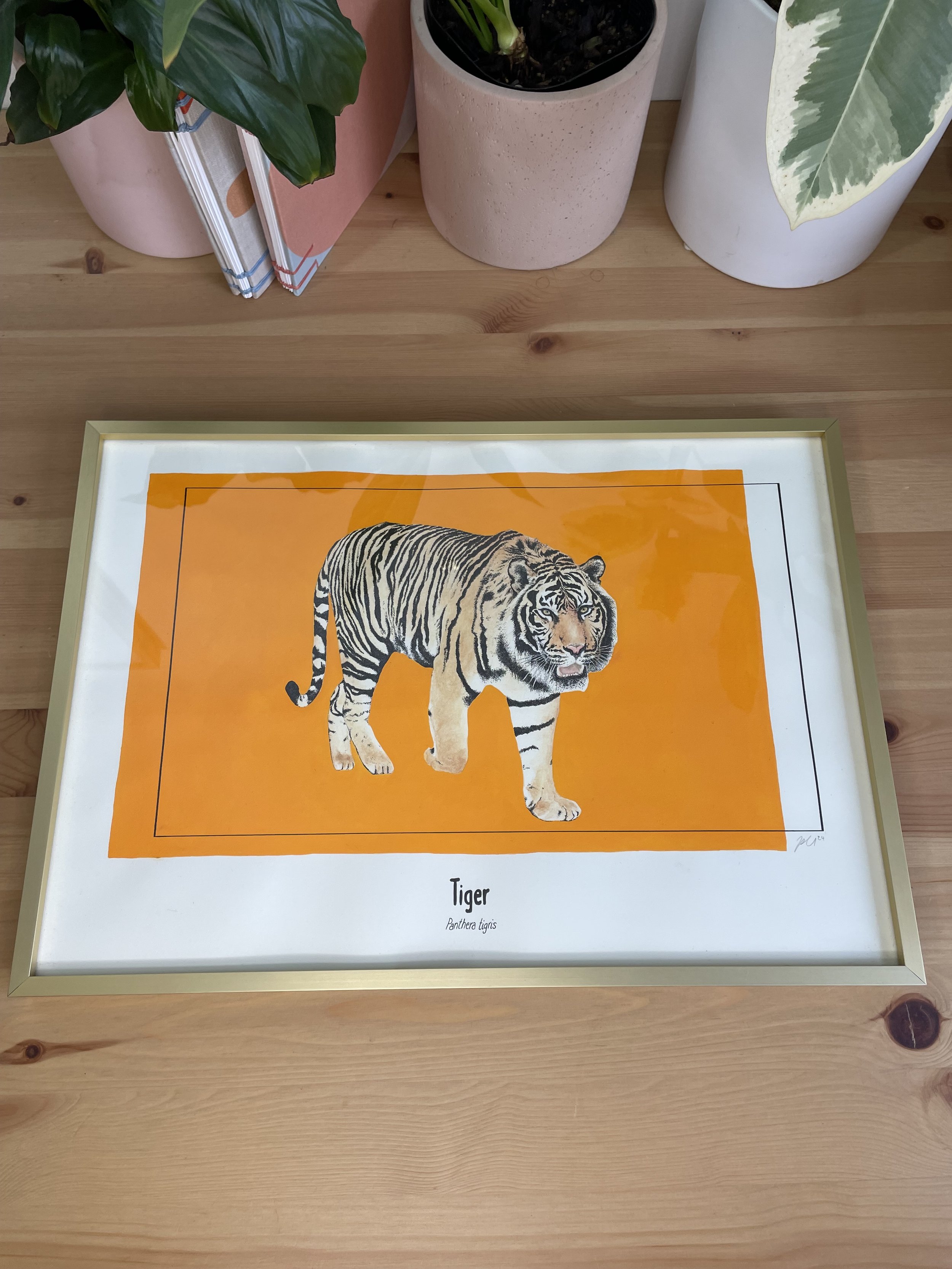 Tiger - original