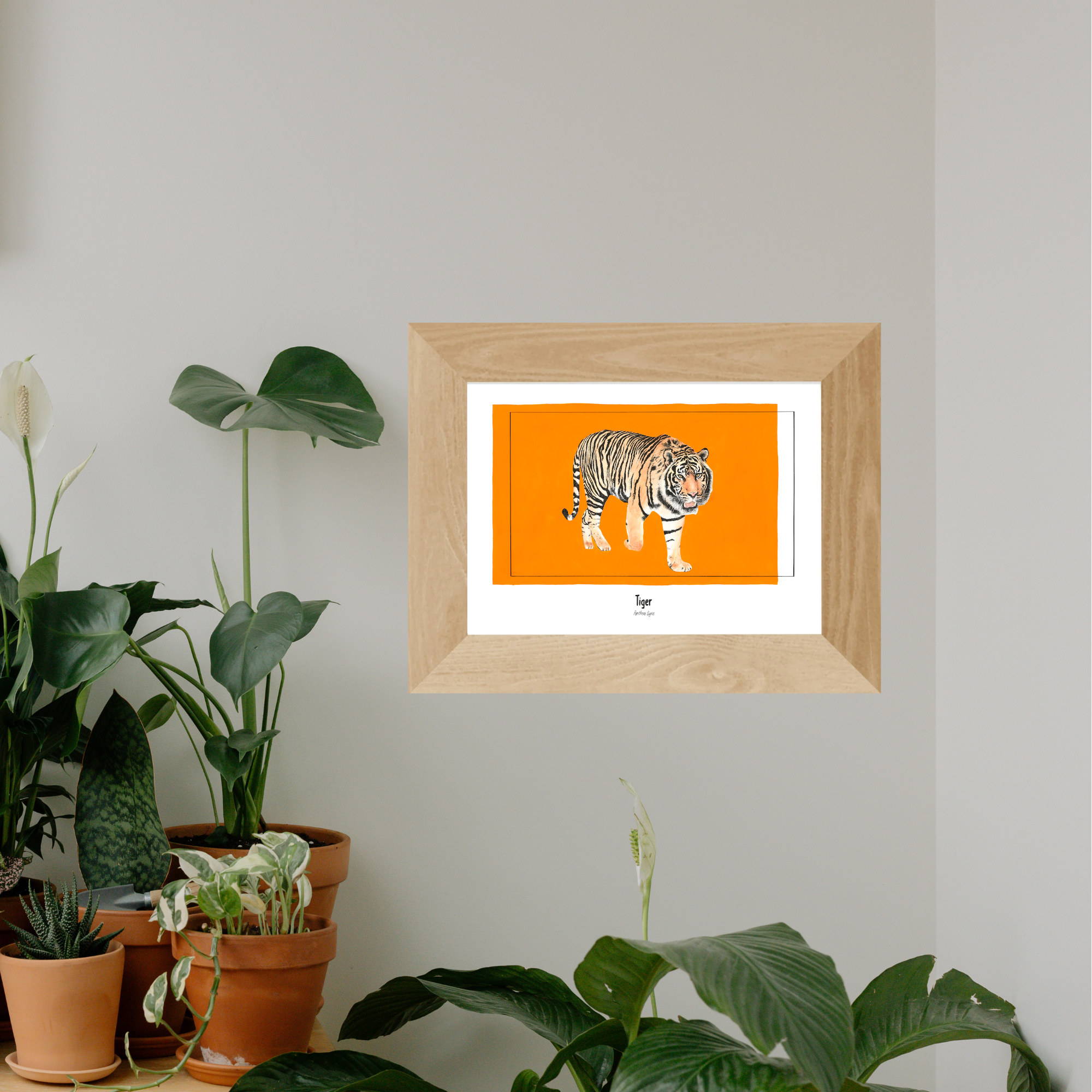 Faunaly studio:art print:wildlife artwork:tiger:conservation art:jess rowland.png