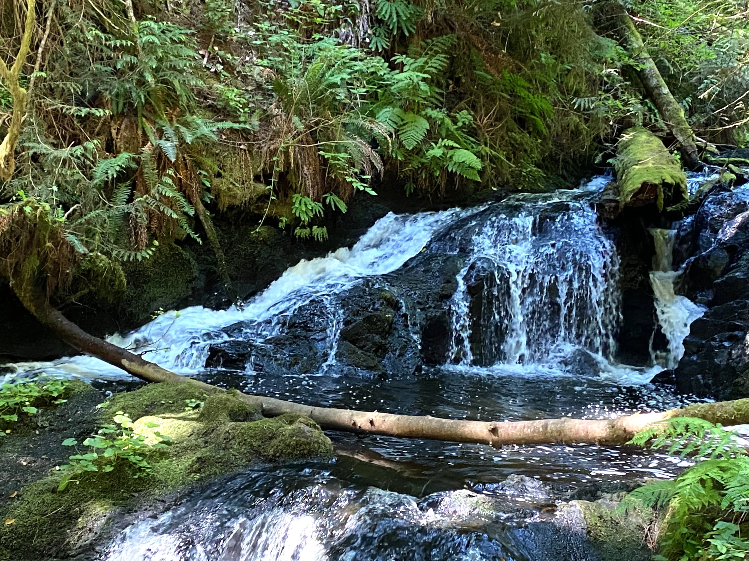 Port Ludlow Falls 2