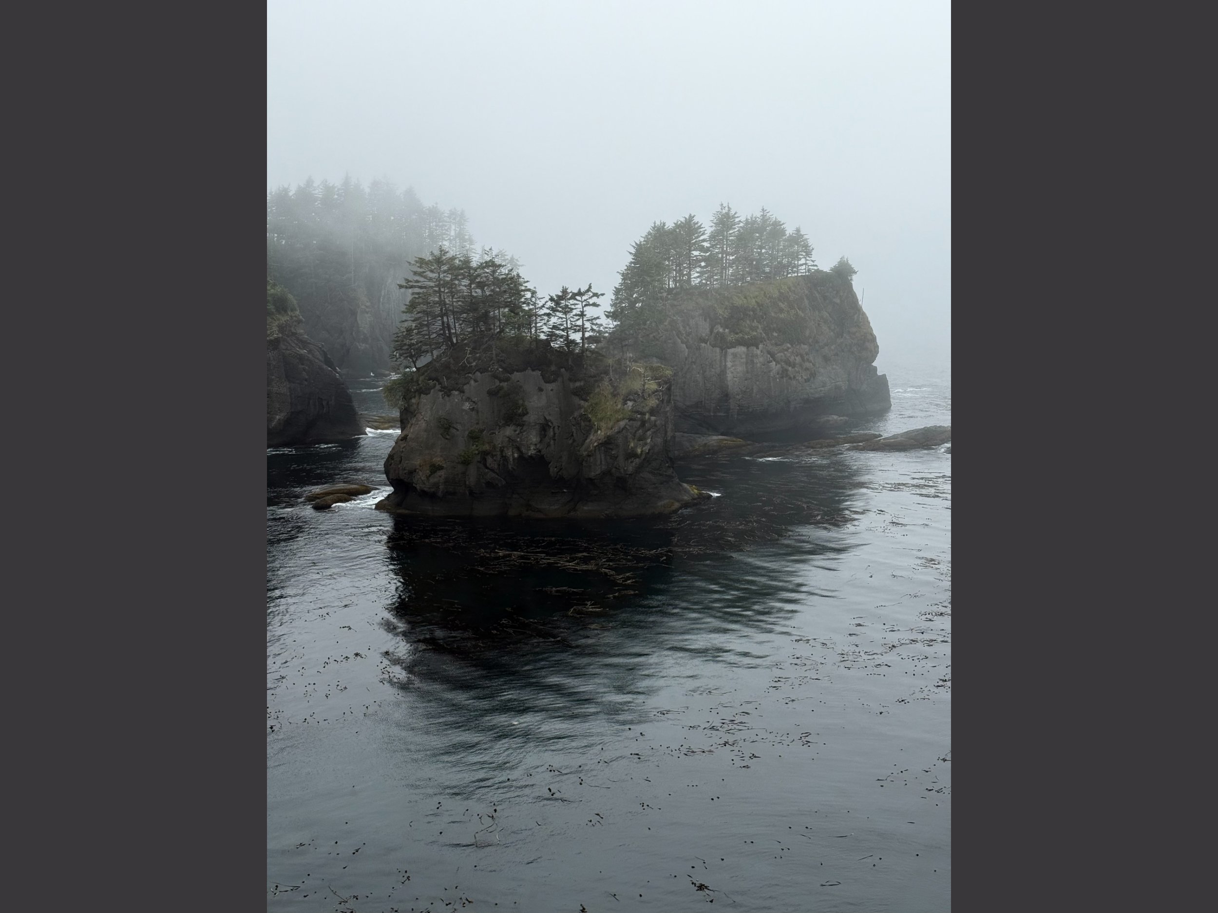 Cape Flattery in Fog