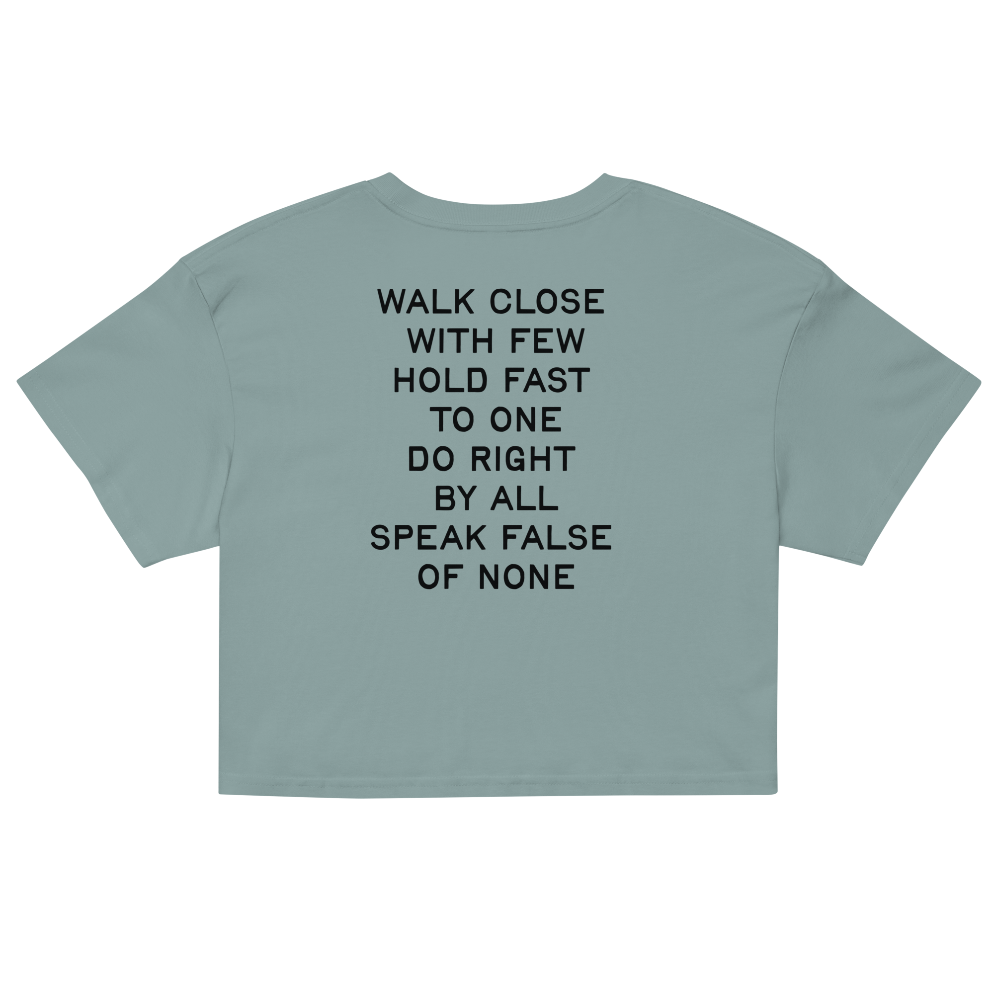 womens-crop-top-mineral-back-67d79cd187057.png
