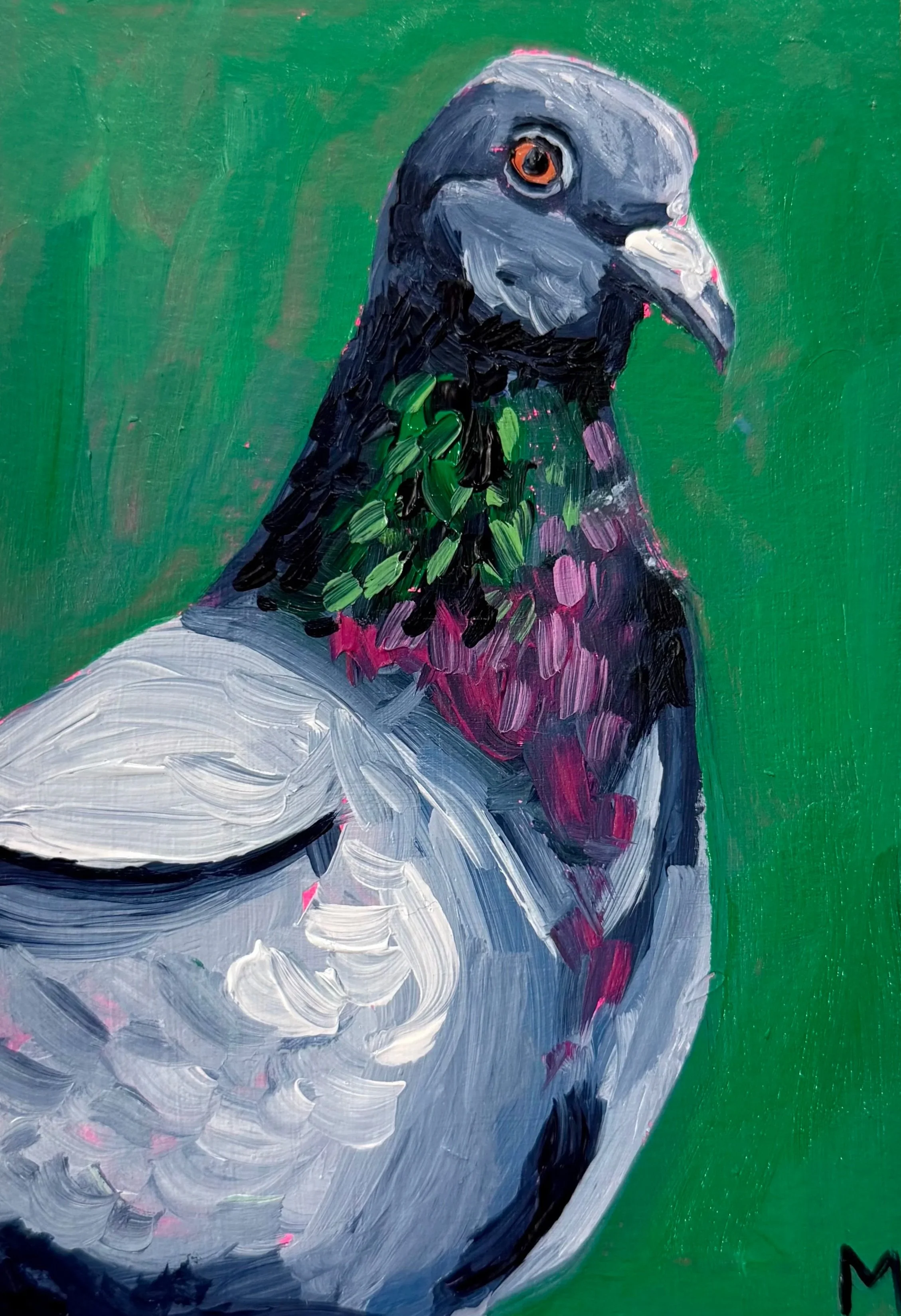 Pigeon+Portrait.jpg