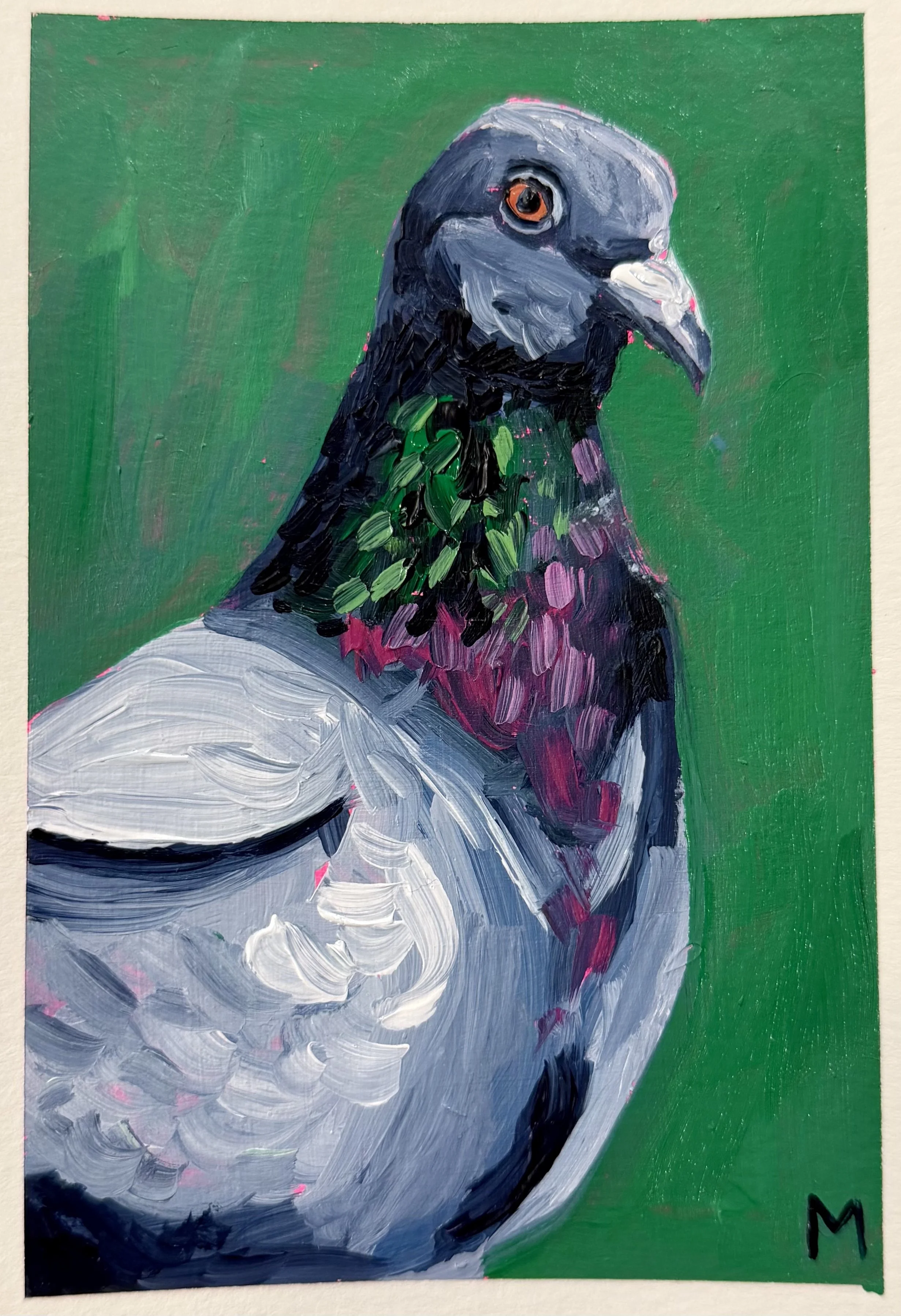 Pigeon Portrait - Original Painting