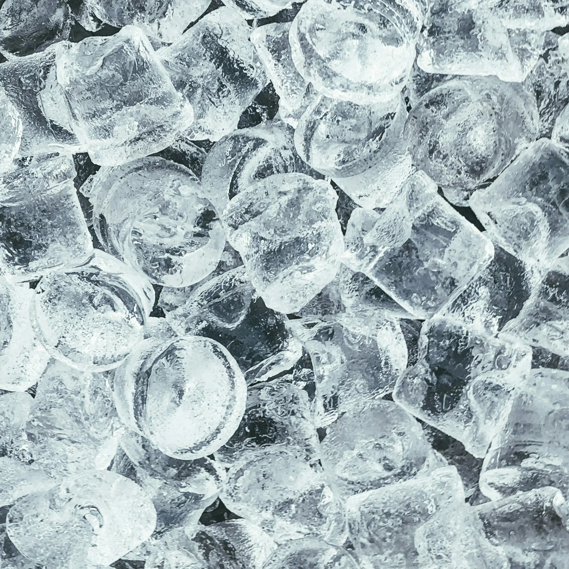 ice cubes symbolising the Organisation and methods of Freezing