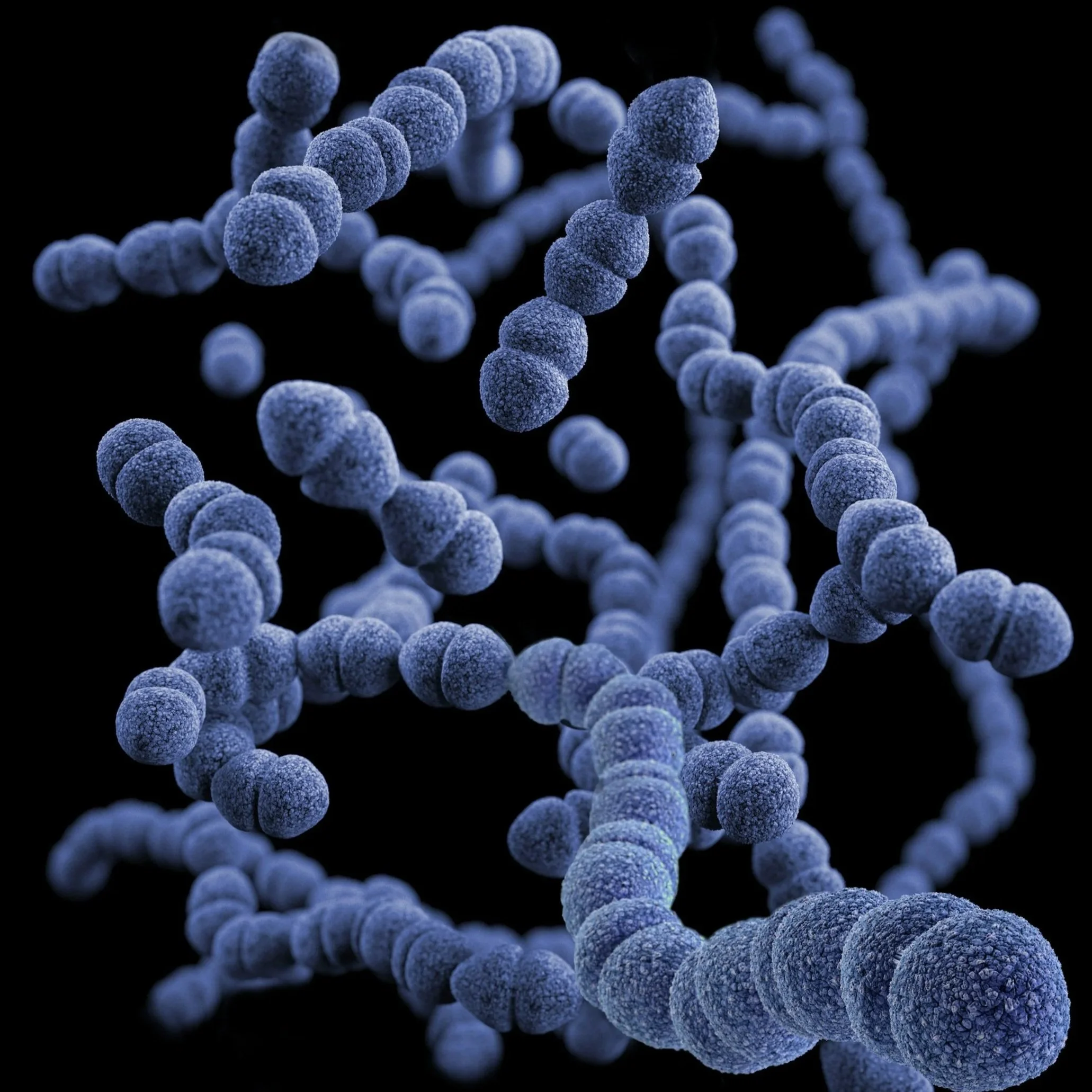 picture symbolising foundational gut health gluten free coeliac