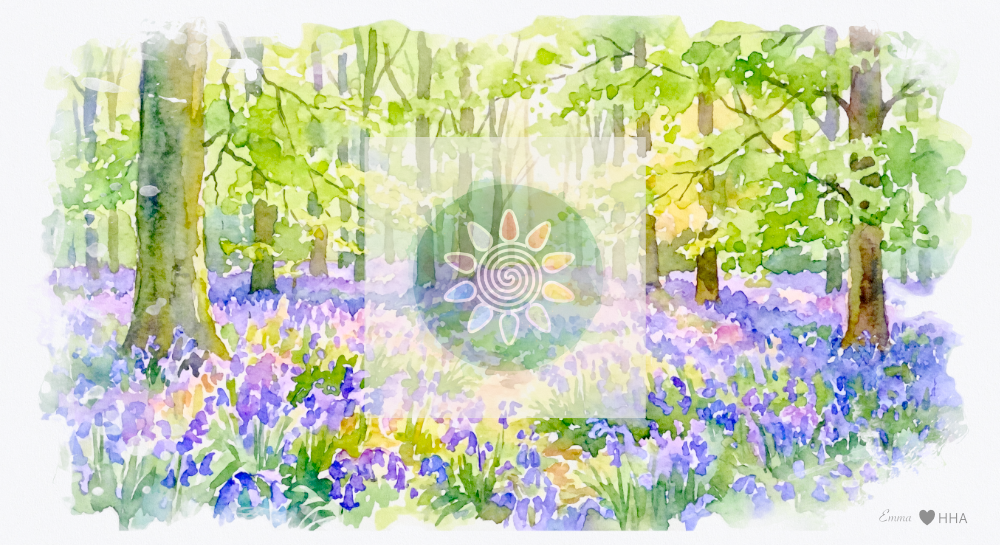 Marlborough West Woods Study One: The Bluebell Canopy