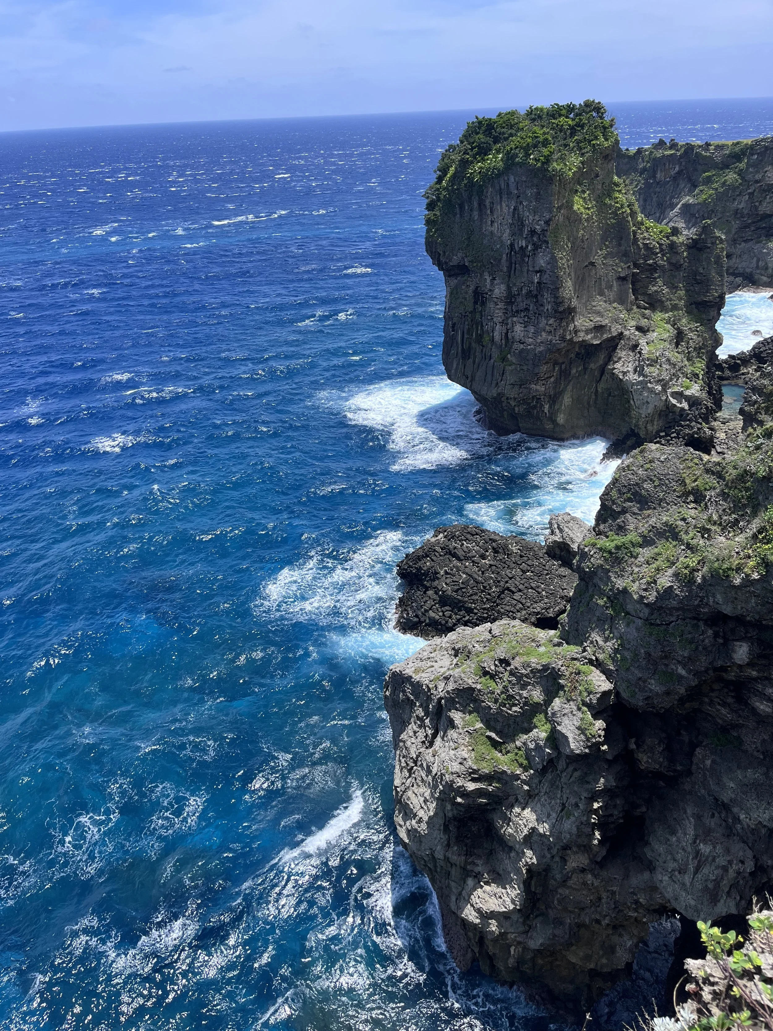Ocean waves crashing against rocky cliffside with lush greenery at the top, under a partly cloudy sky.