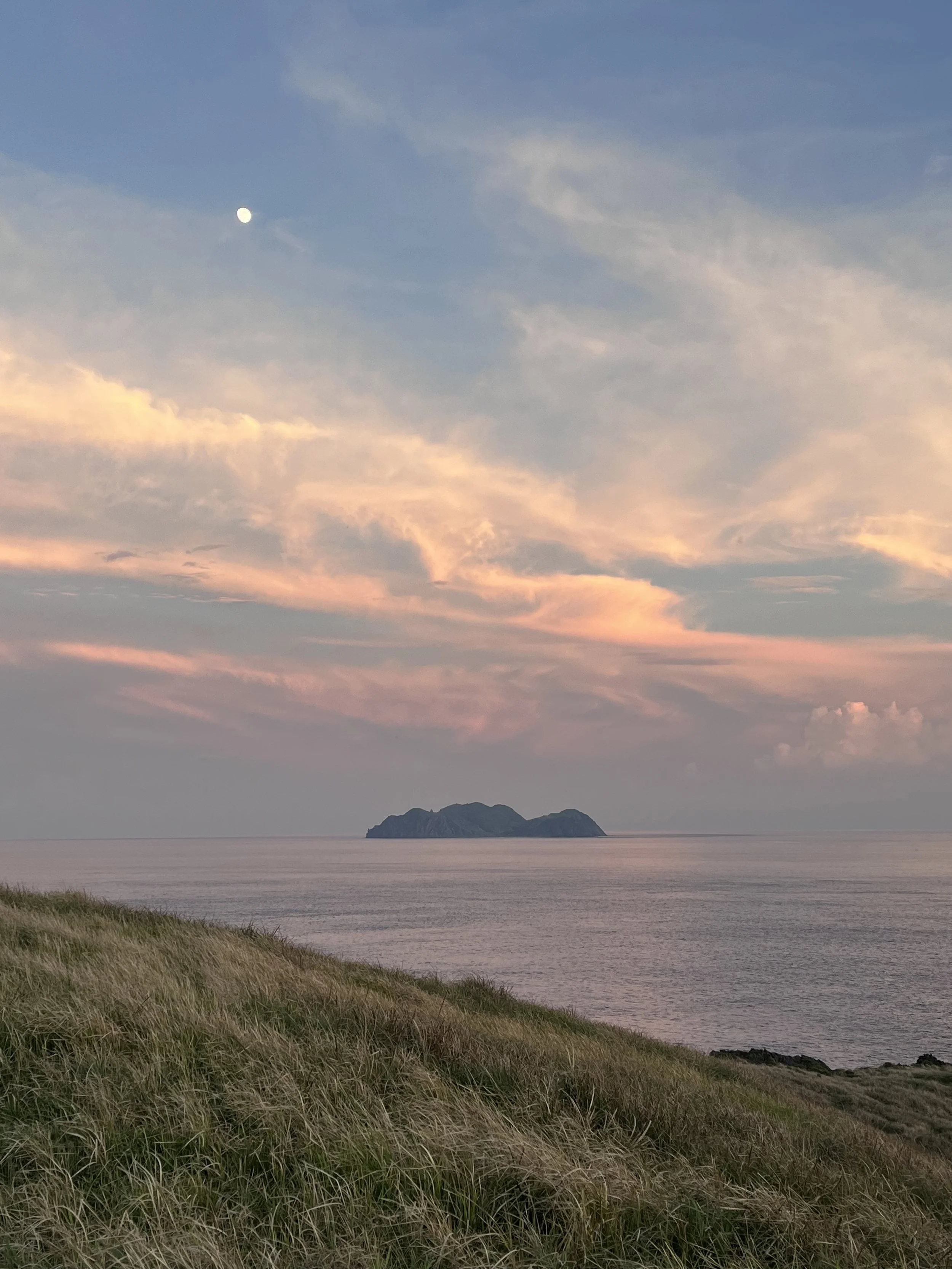 Scenic view of a calm ocean with a distant island, grassy coastline foreground, and a sky with soft pink and orange clouds at sunset, with the moon visible in the sky.