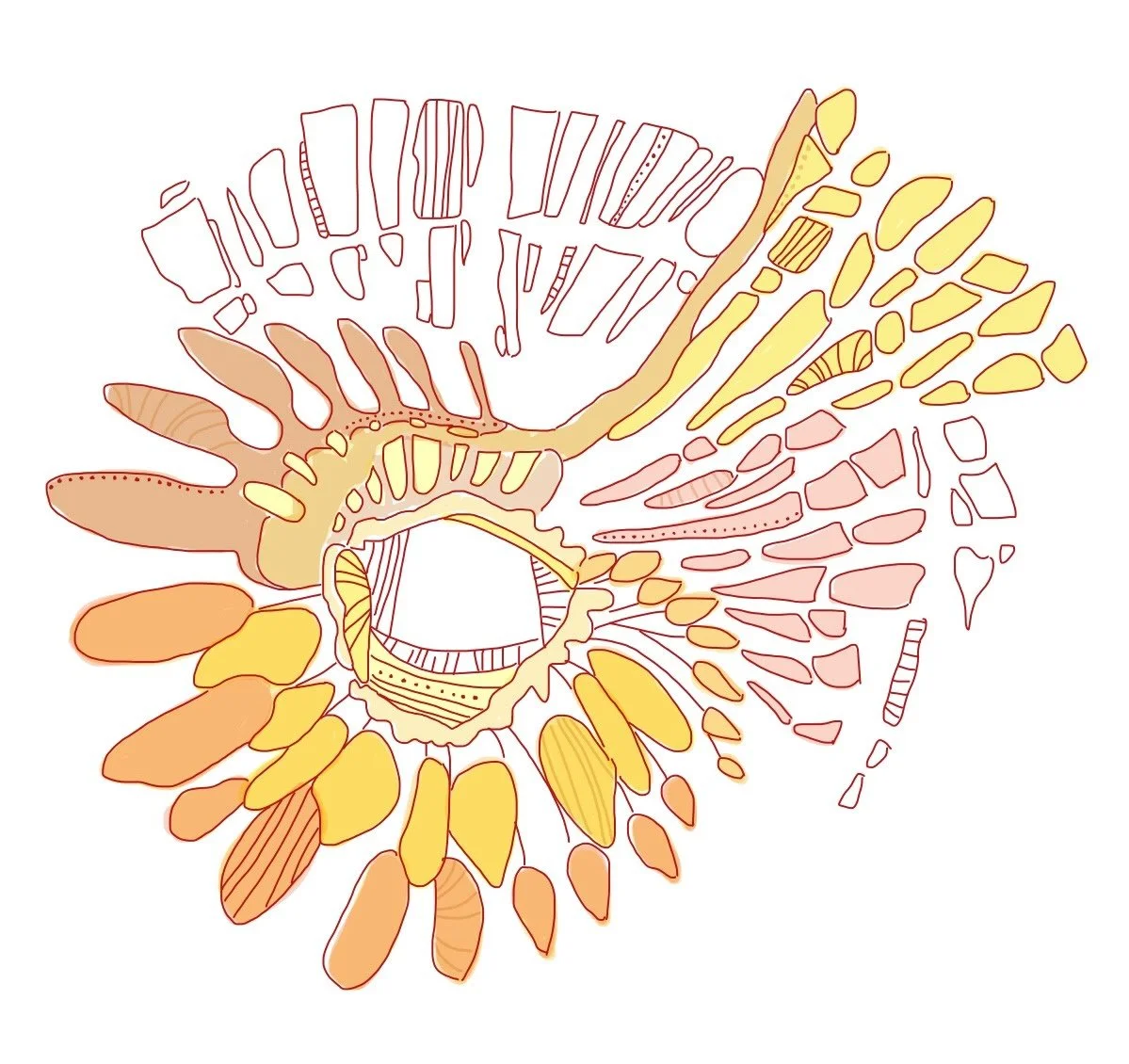 IMG_7357.PNG