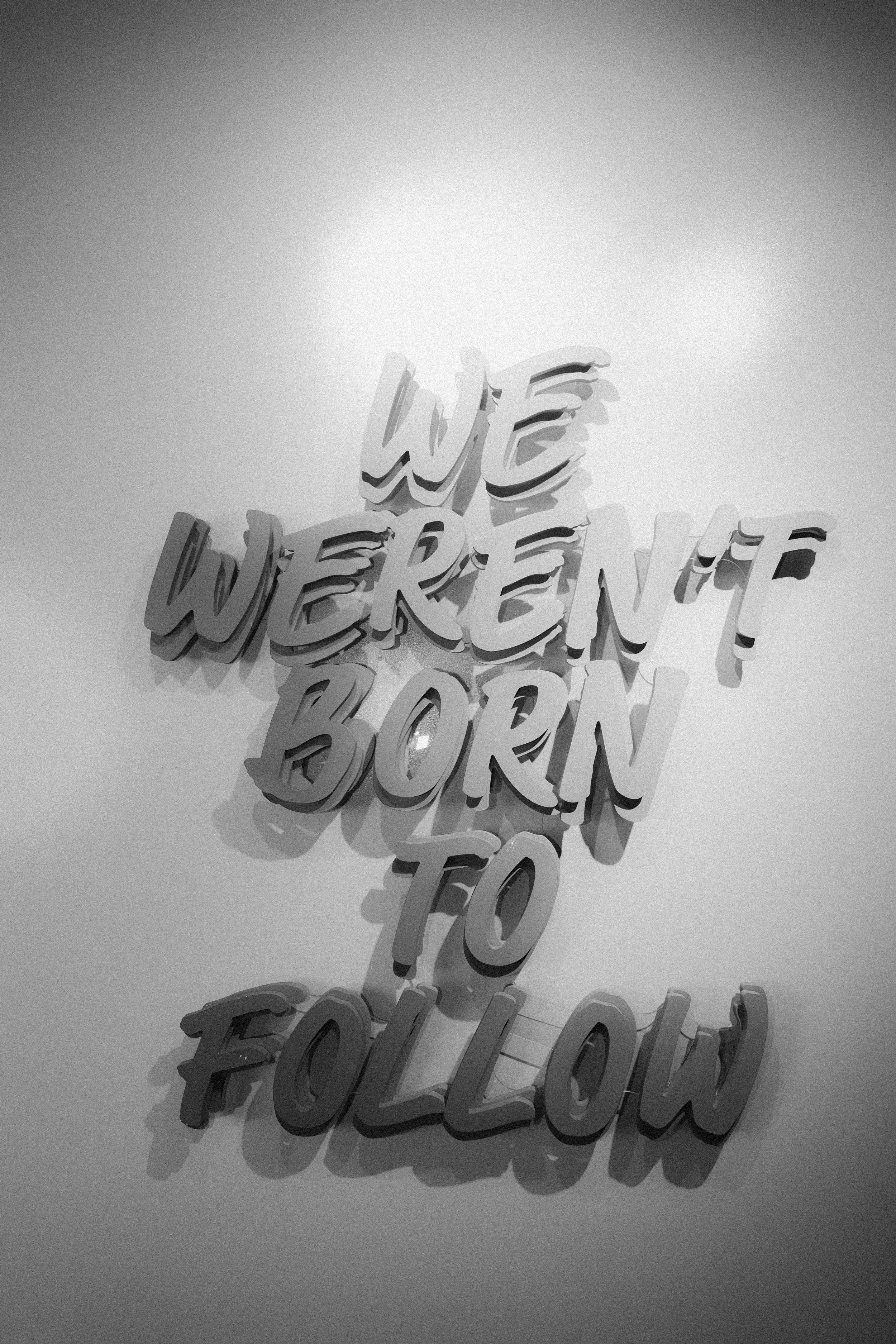 P1823426.jpg