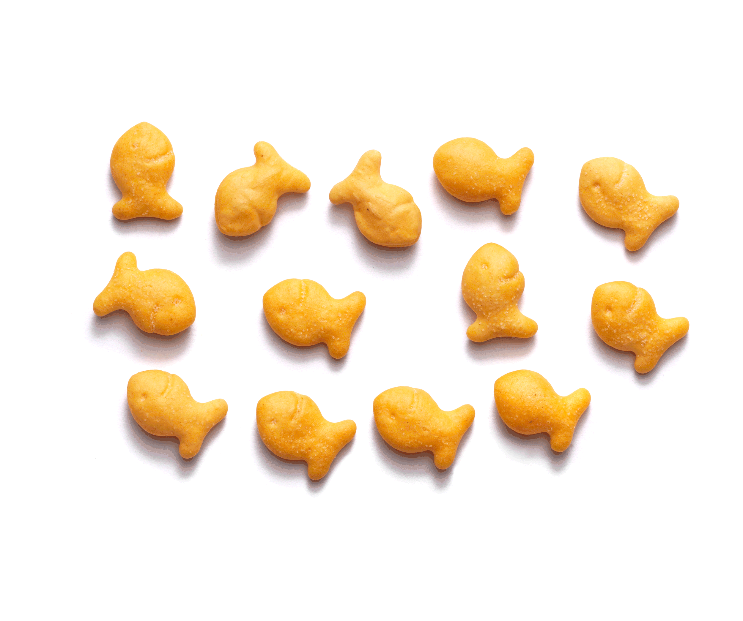 DancingGoldfish.gif