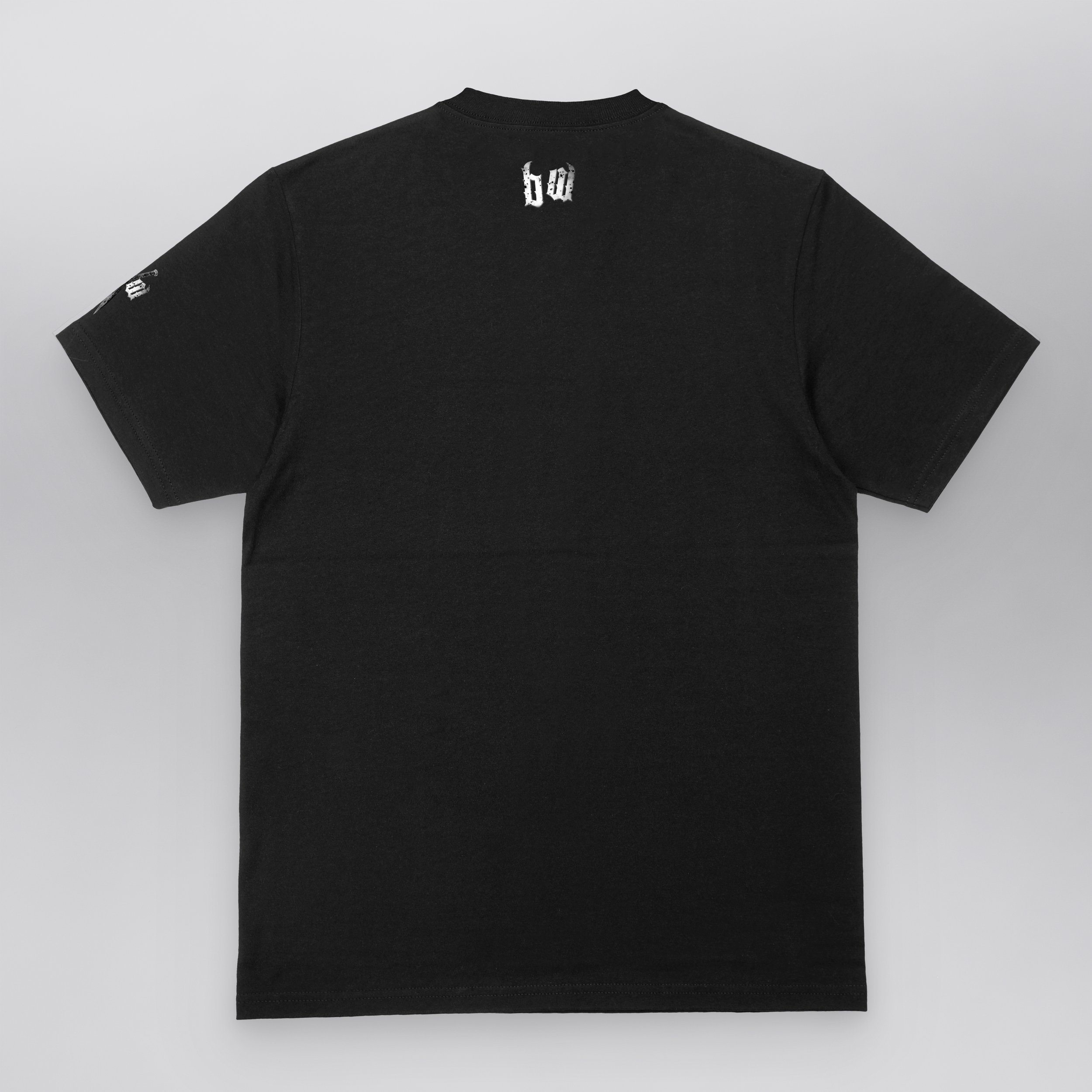 Fly on Fly Back 2025.jpg