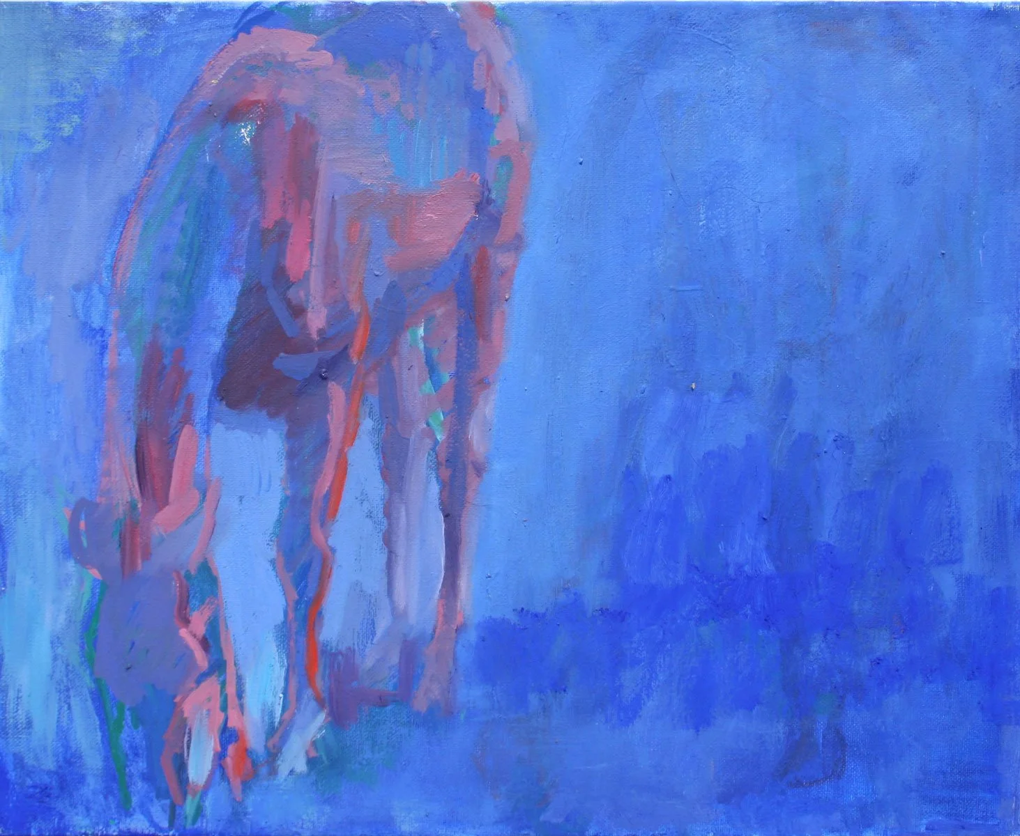 blue-pink-2-©torresalexandra.jpg