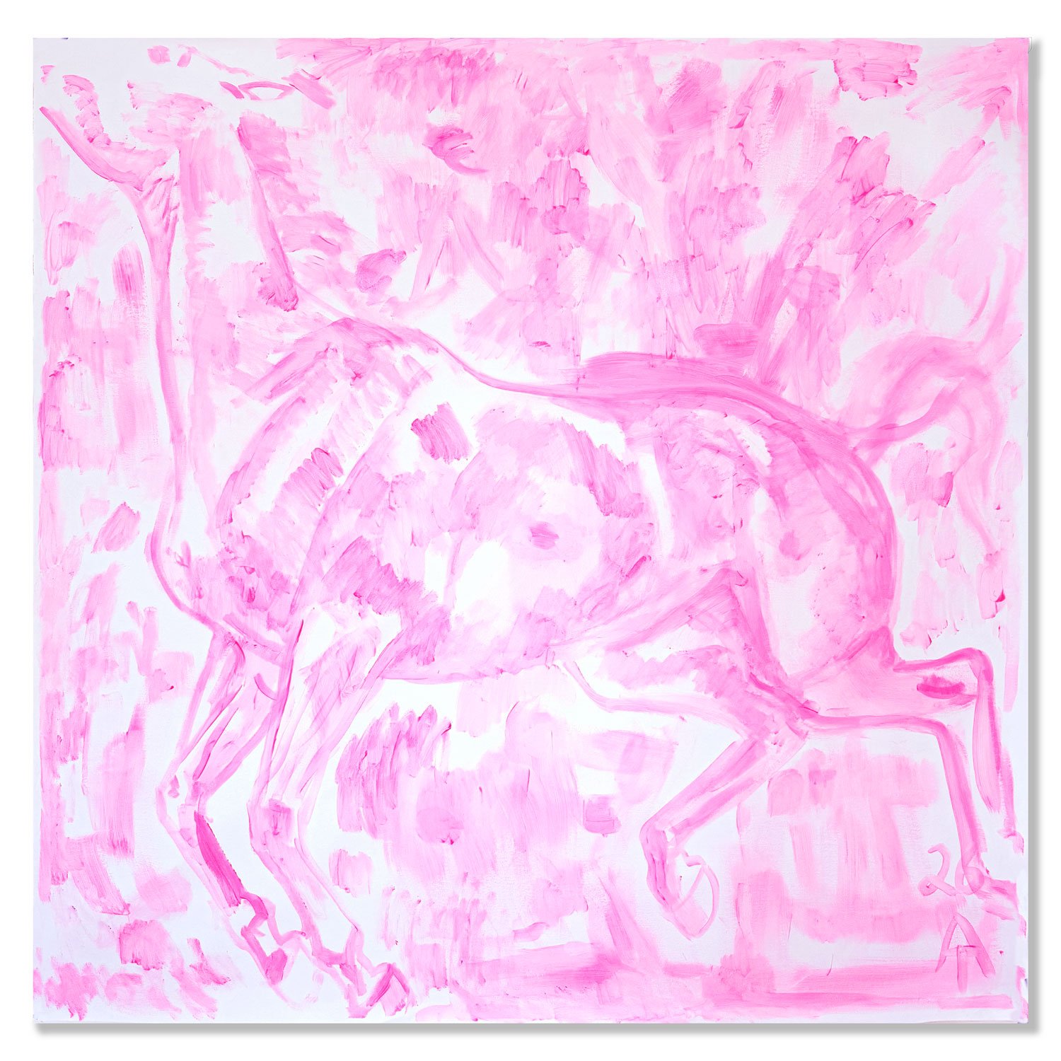 Agaisnt pink.jpg