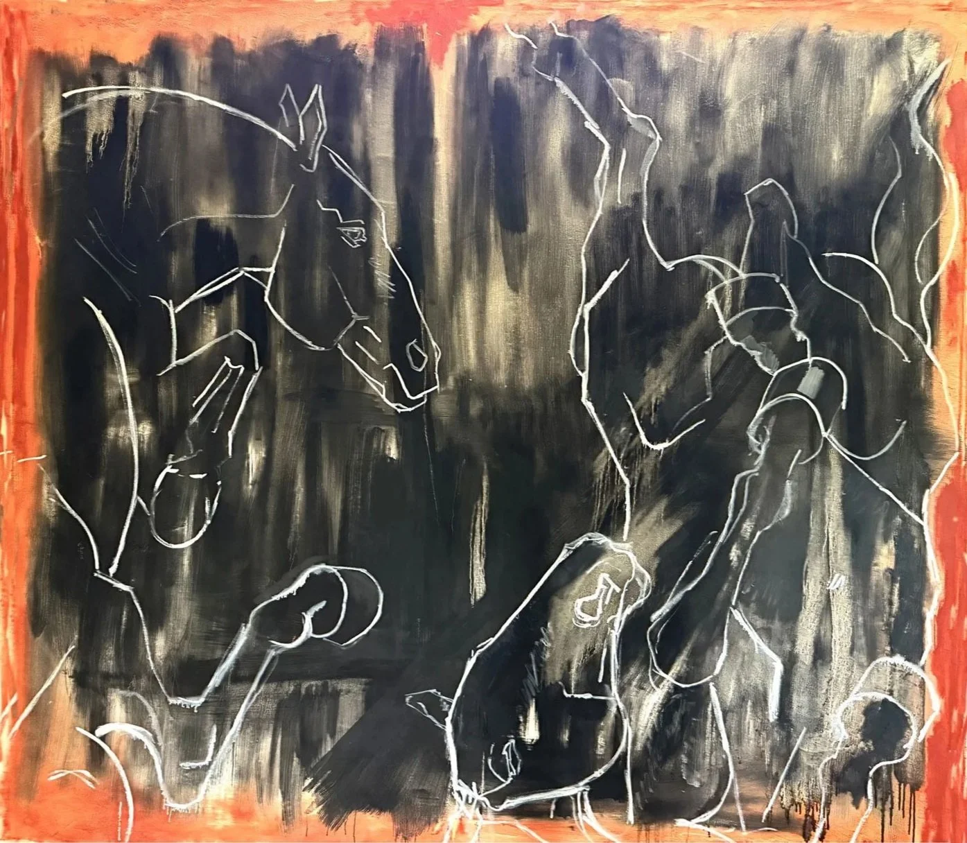 Wild horses