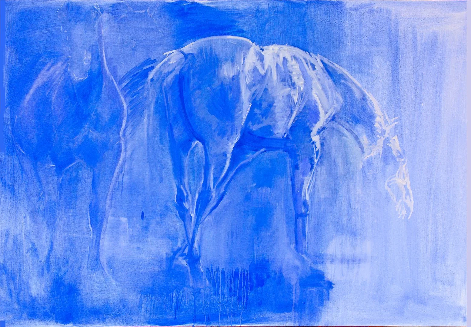 equine-blue-1-Alexandra-Torres.jpg